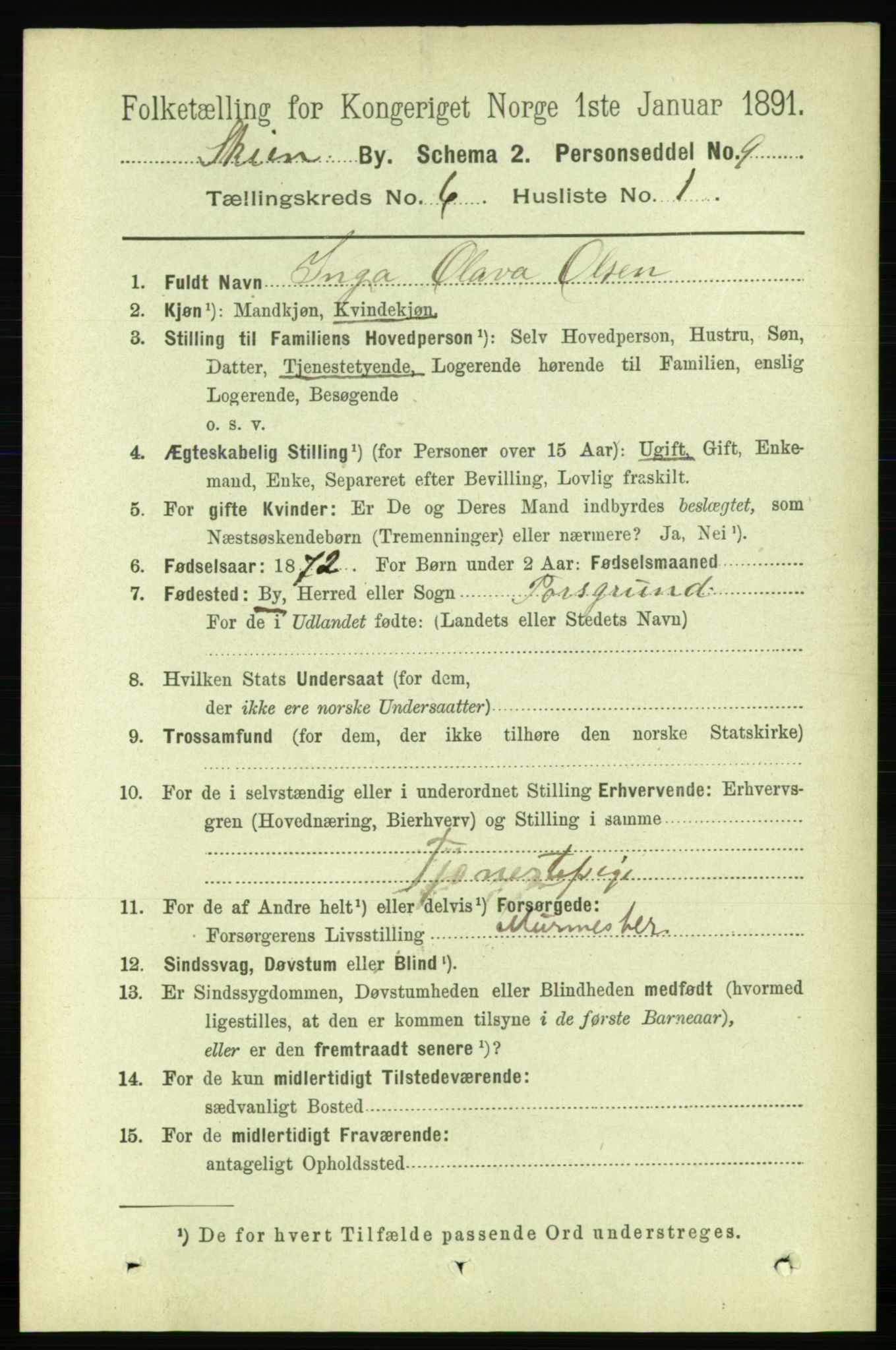 RA, 1891 census for 0806 Skien, 1891, p. 3002