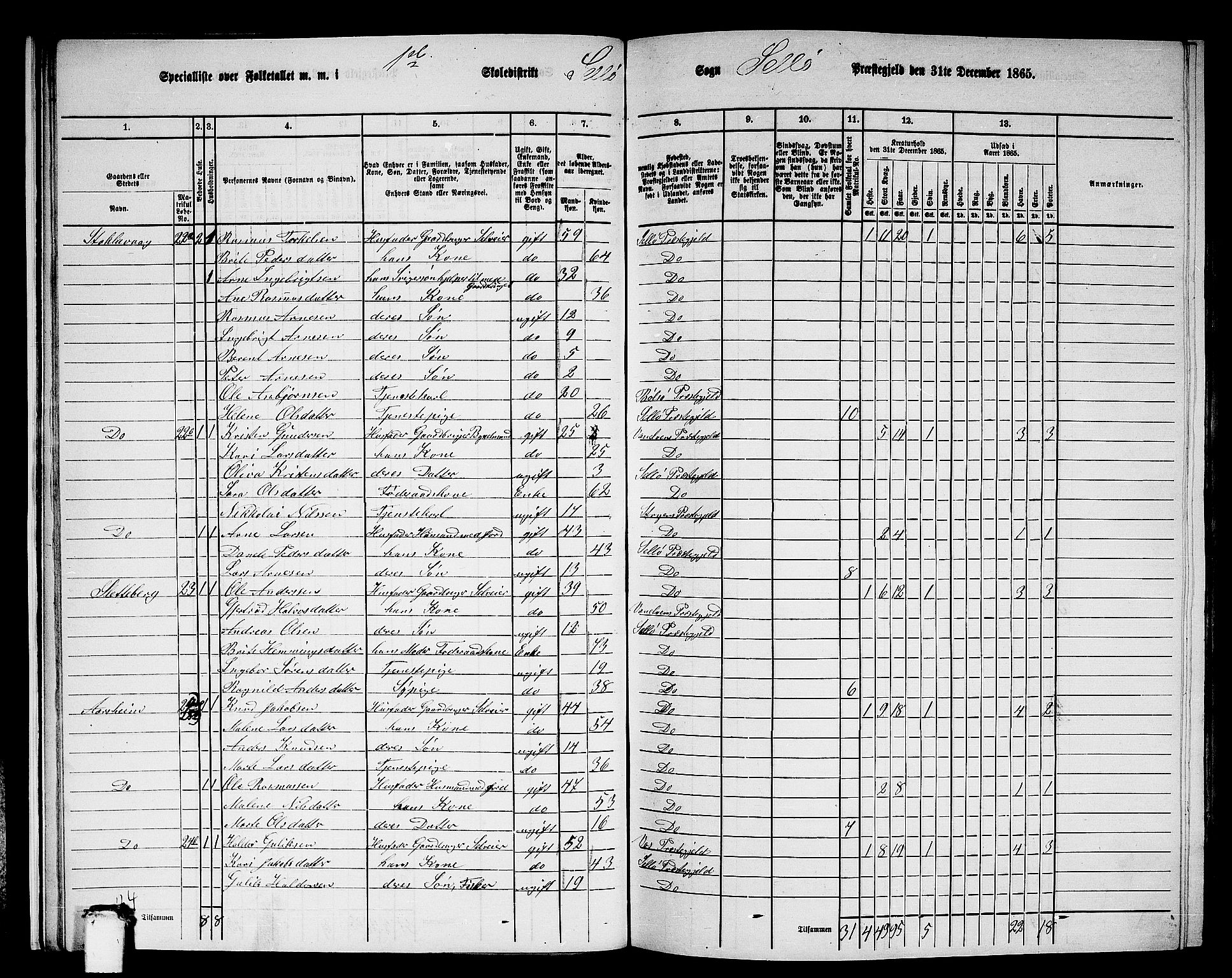 RA, 1865 census for Selje, 1865, p. 22