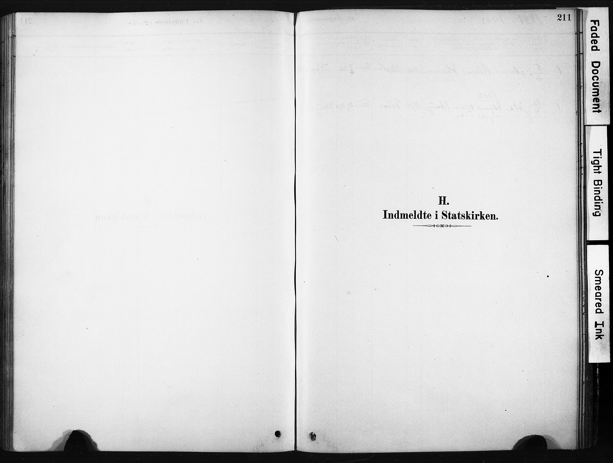 Ministerialprotokoller, klokkerbøker og fødselsregistre - Nordland, SAT/A-1459/808/L0128: Parish register (official) no. 808A01, 1880-1902, p. 211