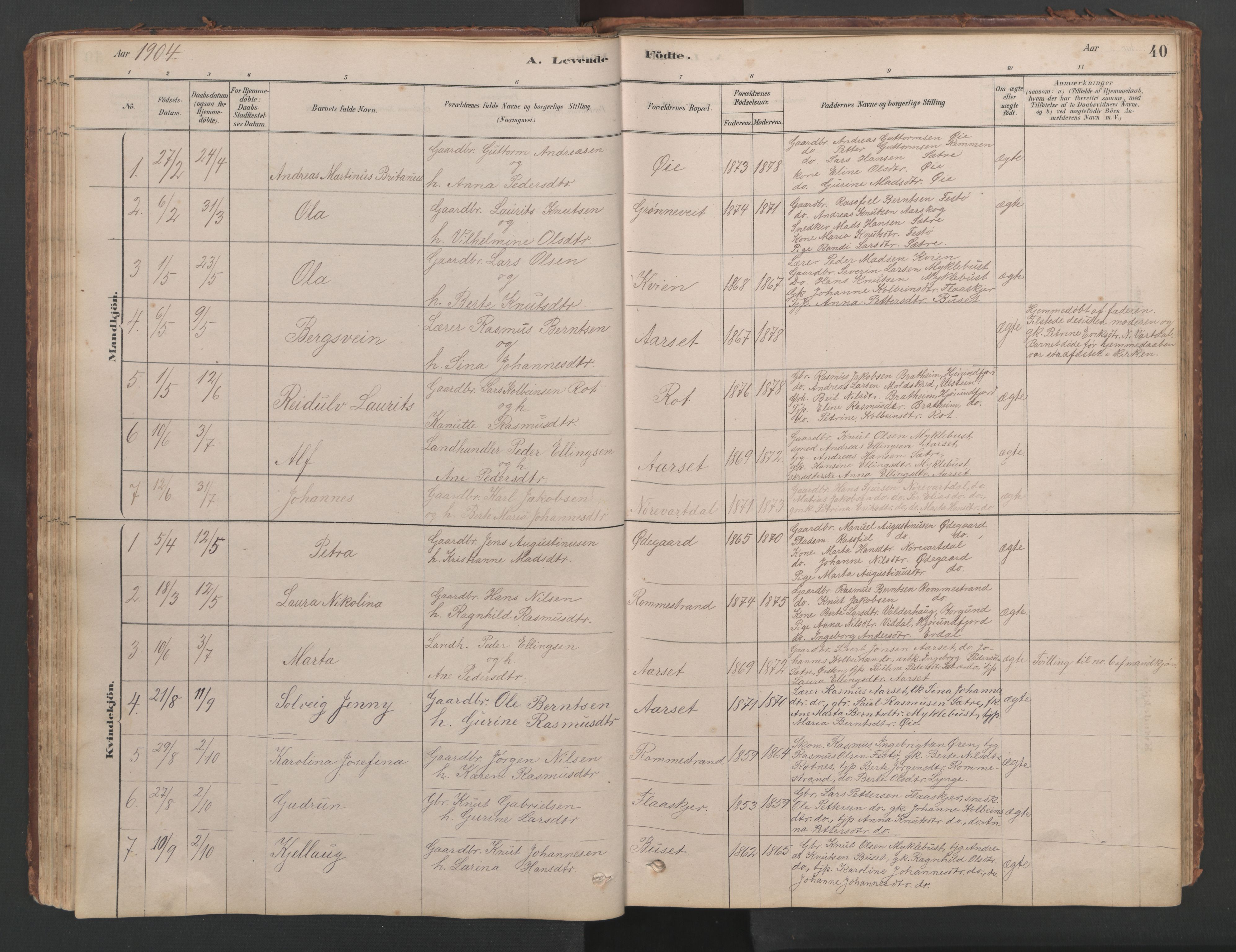 Ministerialprotokoller, klokkerbøker og fødselsregistre - Møre og Romsdal, AV/SAT-A-1454/514/L0201: Parish register (copy) no. 514C01, 1878-1919, p. 40