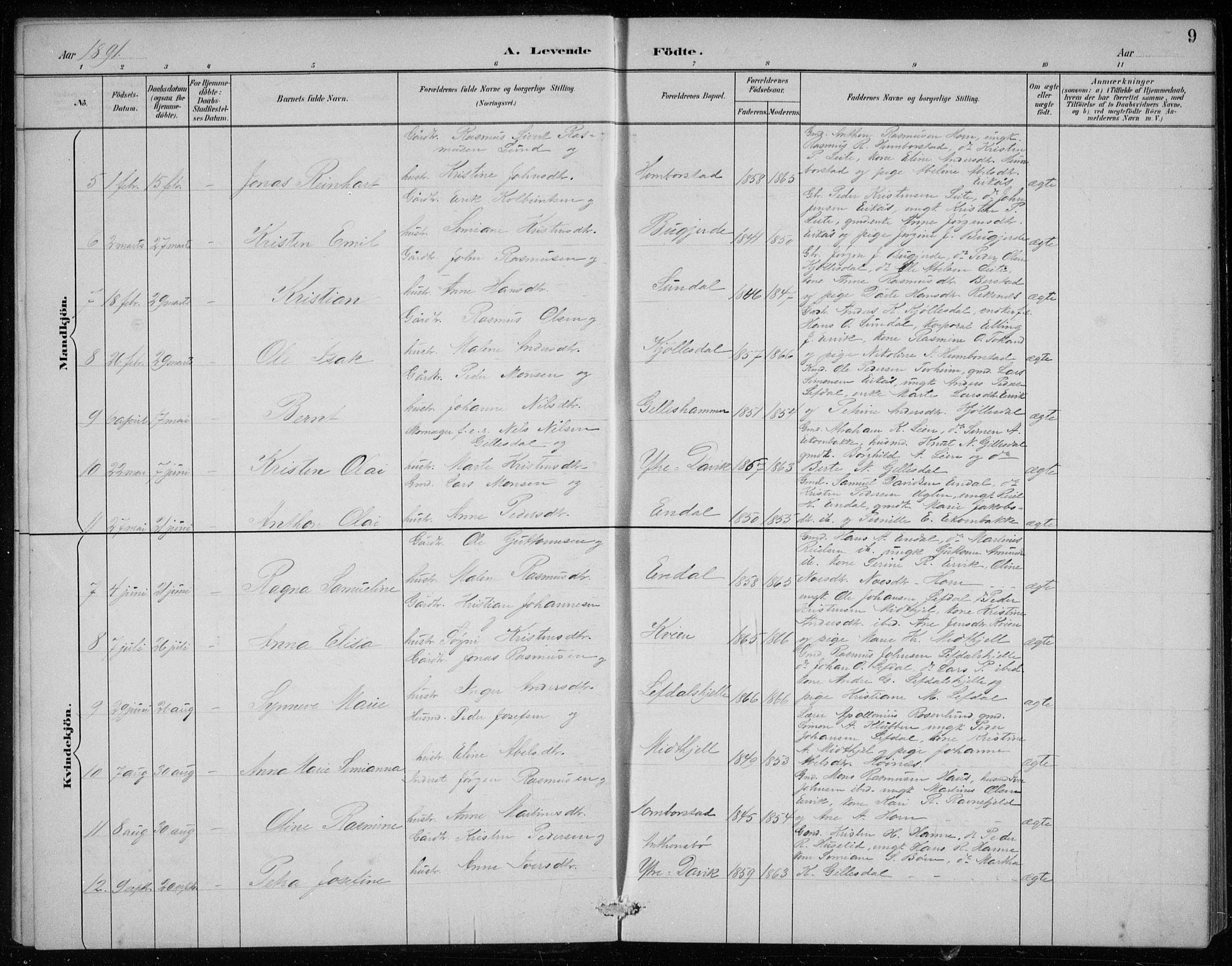 Davik sokneprestembete, AV/SAB-A-79701/H/Hab/Haba/L0002: Parish register (copy) no. A 2, 1890-1911, p. 9