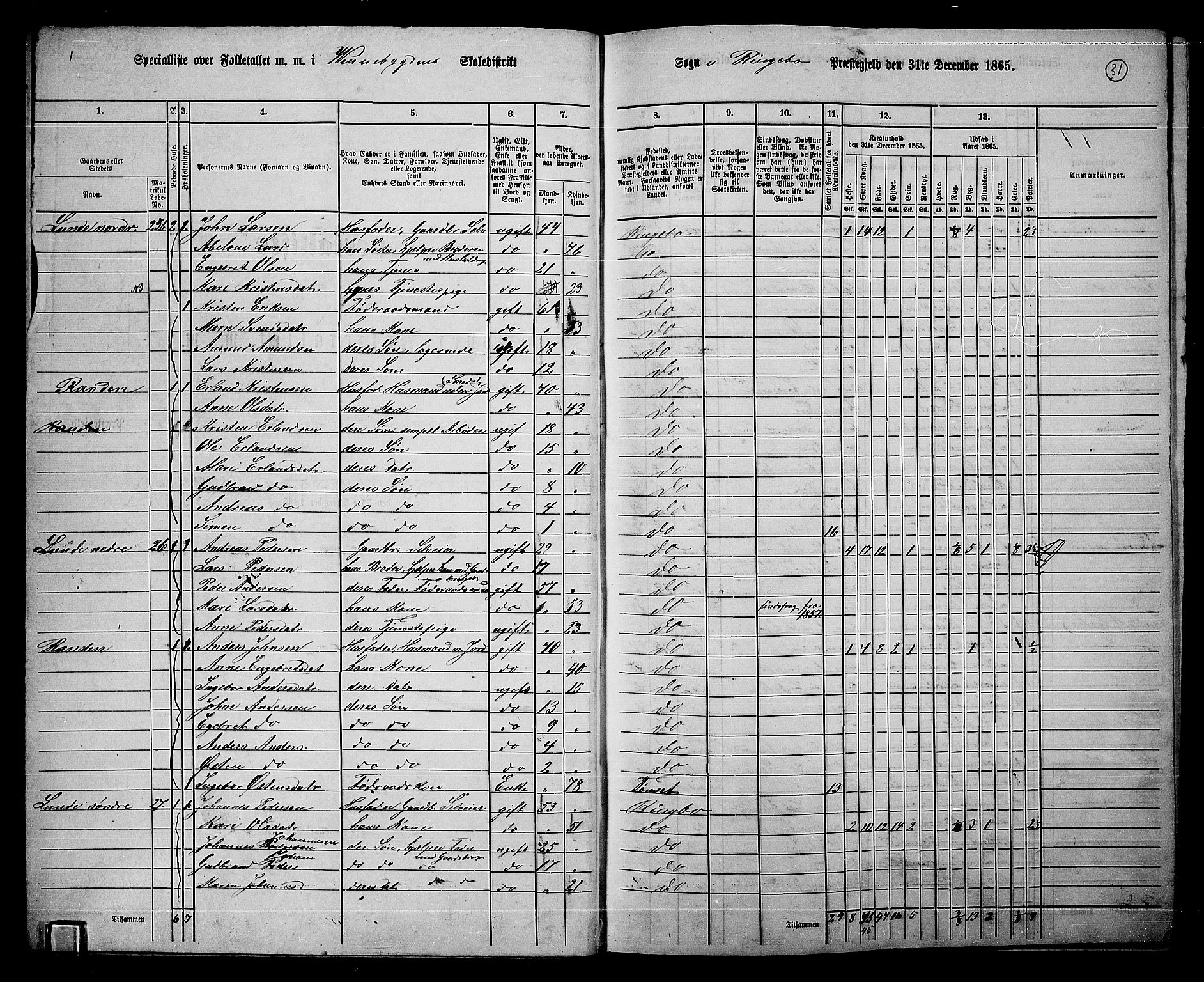 RA, 1865 census for Ringebu, 1865, p. 26