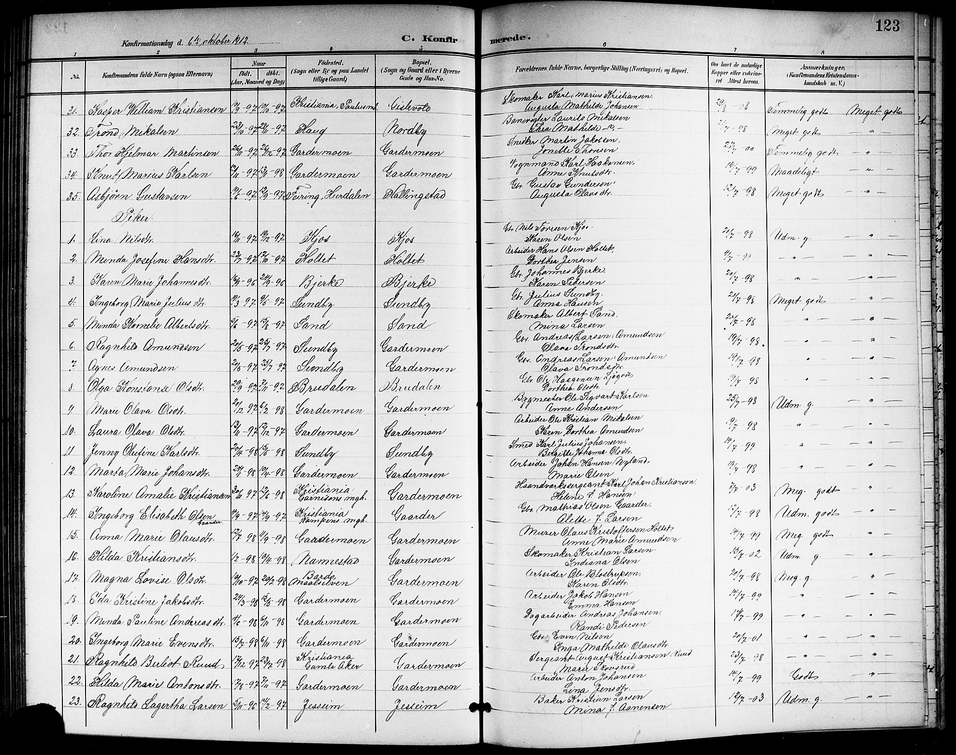 Ullensaker prestekontor Kirkebøker, SAO/A-10236a/G/Gb/L0001: Parish register (copy) no. II 1, 1901-1917, p. 123