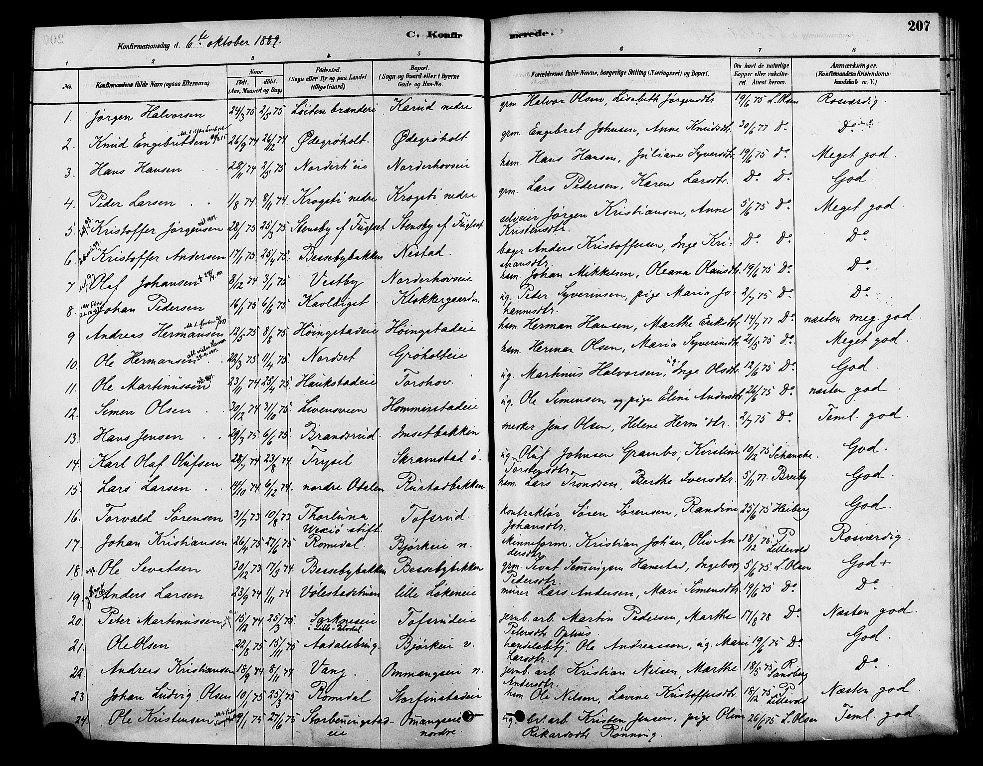 Løten prestekontor, AV/SAH-PREST-022/K/Ka/L0009: Parish register (official) no. 9, 1878-1891, p. 207