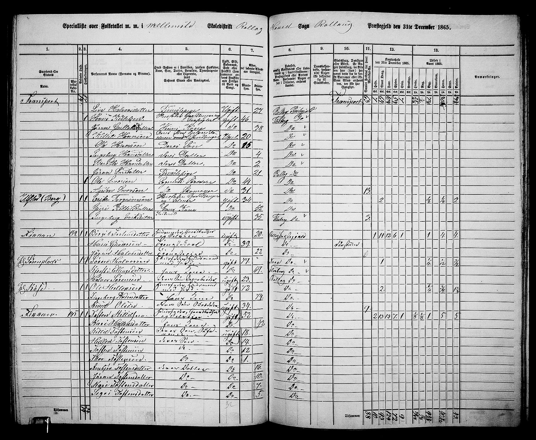 RA, 1865 census for Rollag, 1865, p. 29