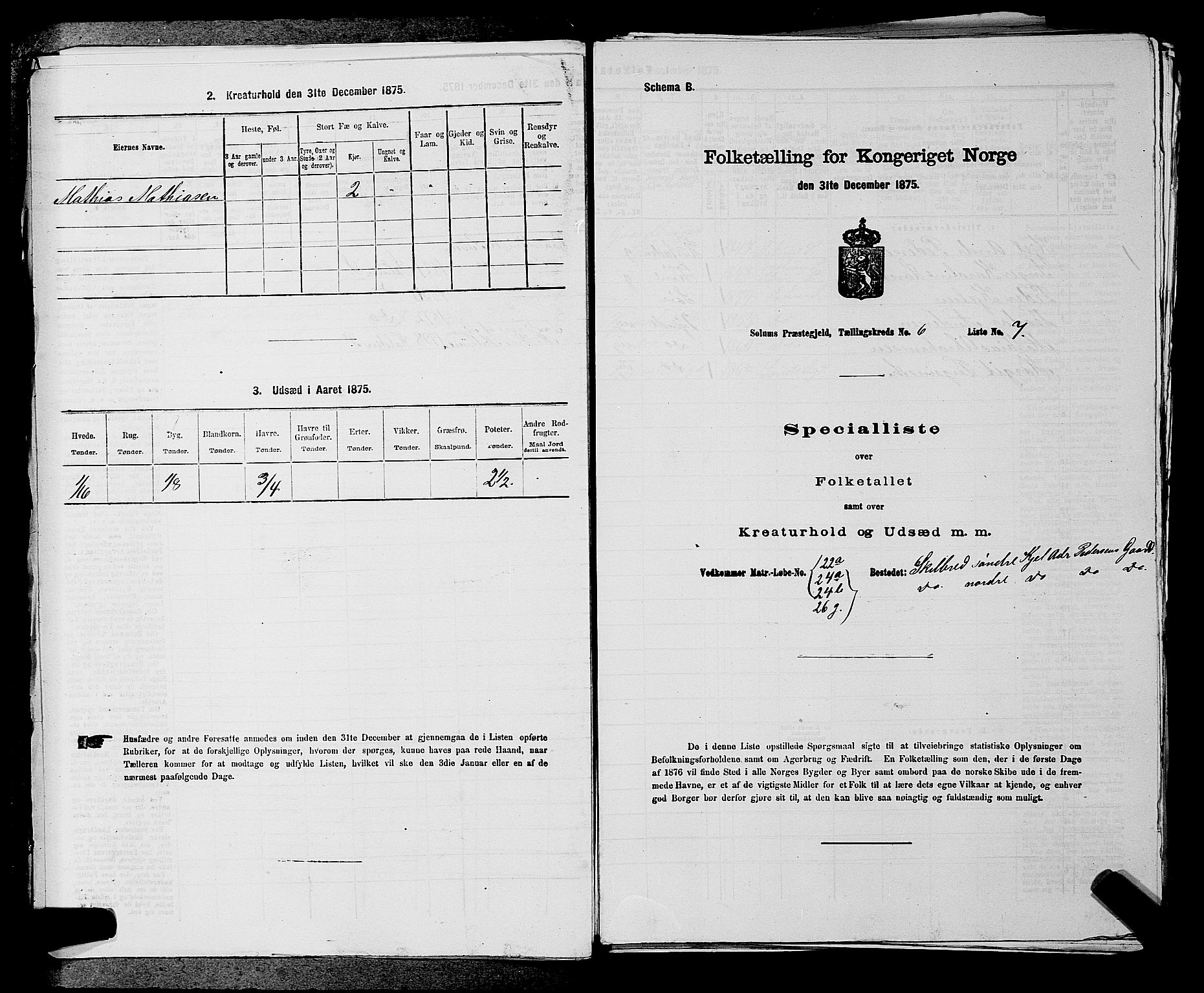 SAKO, 1875 census for 0818P Solum, 1875, p. 1004