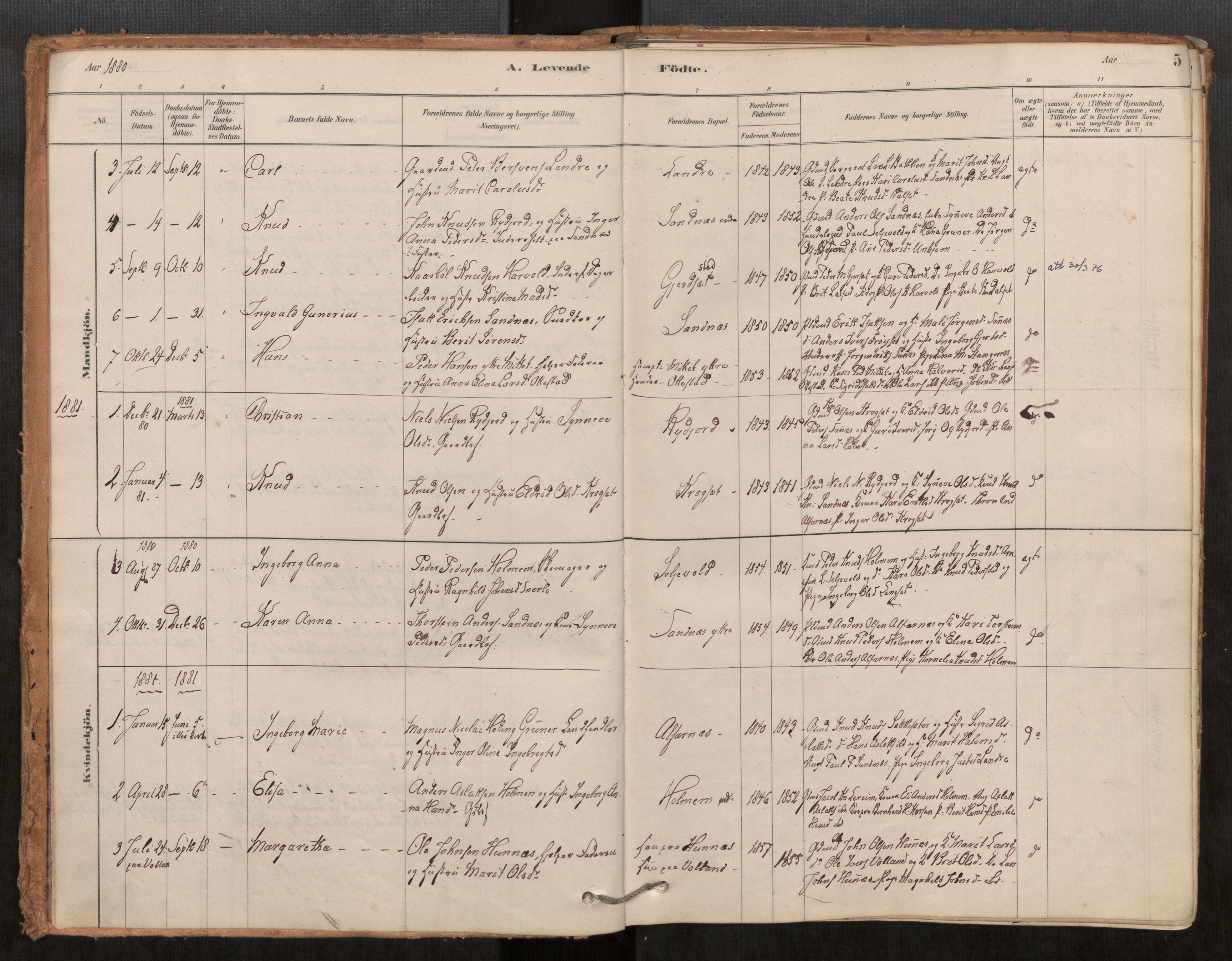 Ministerialprotokoller, klokkerbøker og fødselsregistre - Møre og Romsdal, AV/SAT-A-1454/548/L0615: Parish register (official) no. 548A02, 1878-1906, p. 5