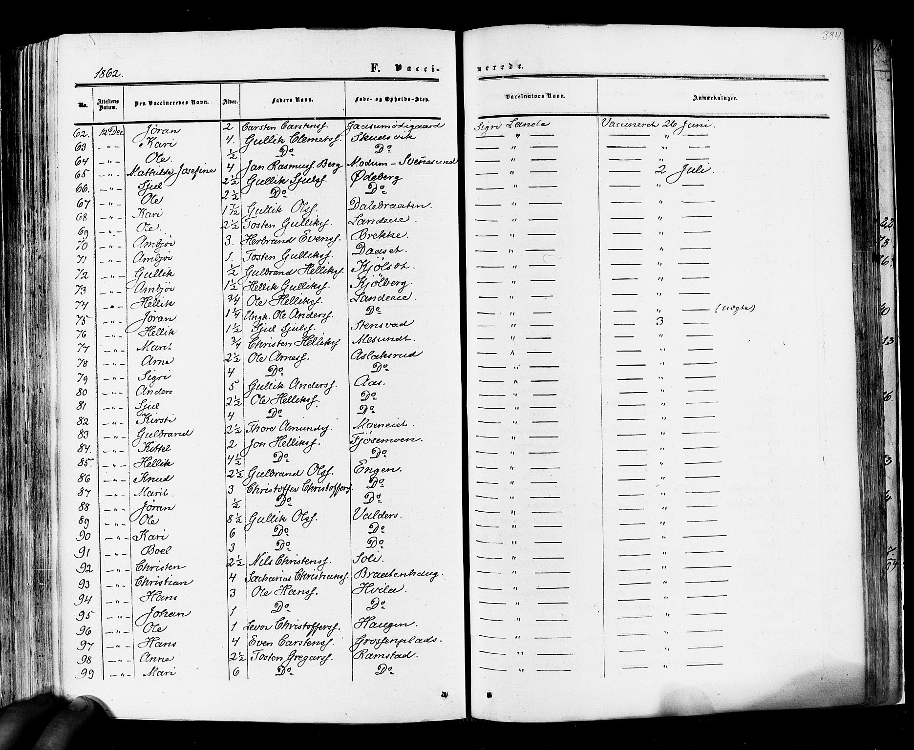 Flesberg kirkebøker, SAKO/A-18/F/Fa/L0007: Parish register (official) no. I 7, 1861-1878, p. 384