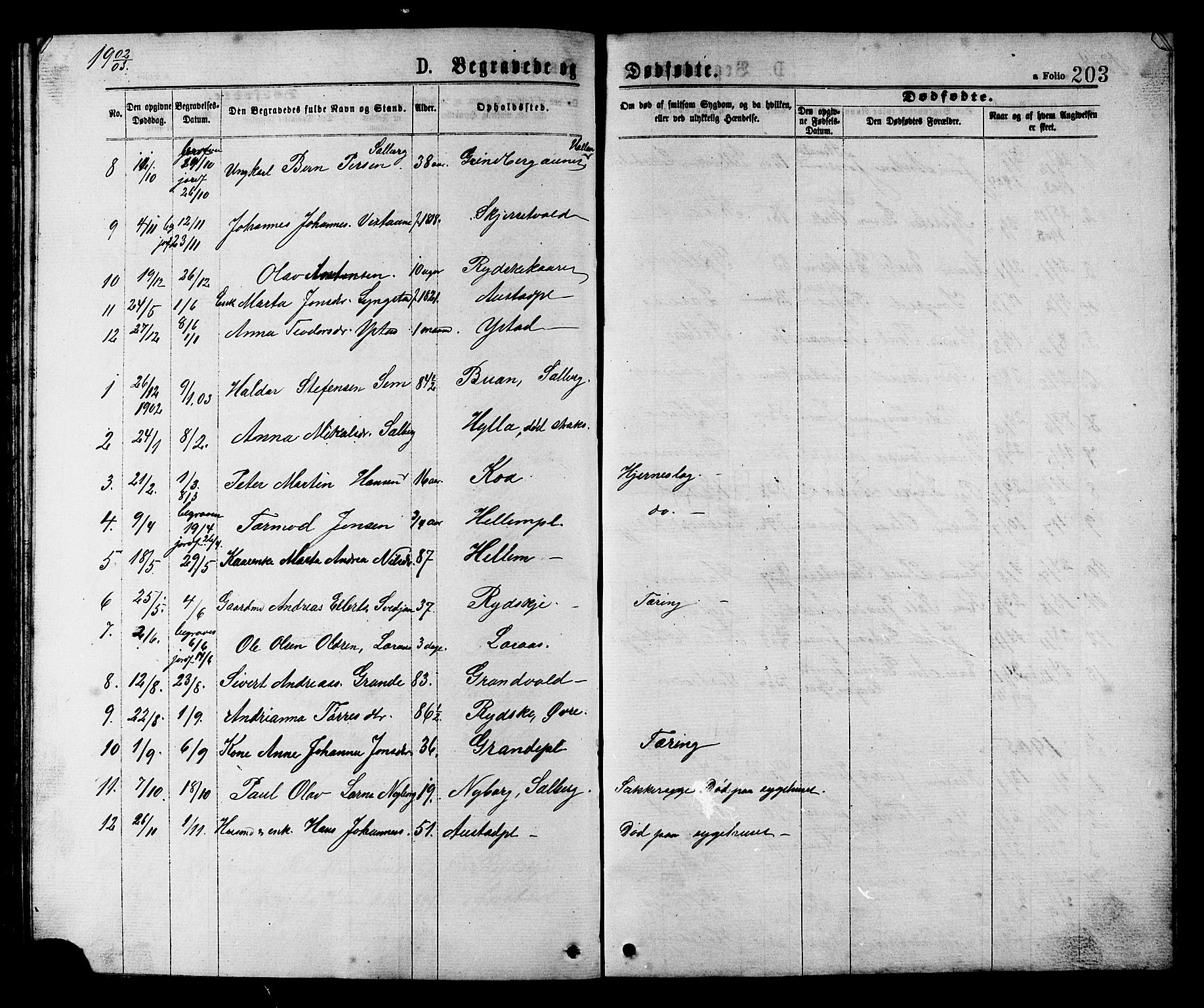 Ministerialprotokoller, klokkerbøker og fødselsregistre - Nord-Trøndelag, SAT/A-1458/731/L0311: Parish register (copy) no. 731C02, 1875-1911, p. 203