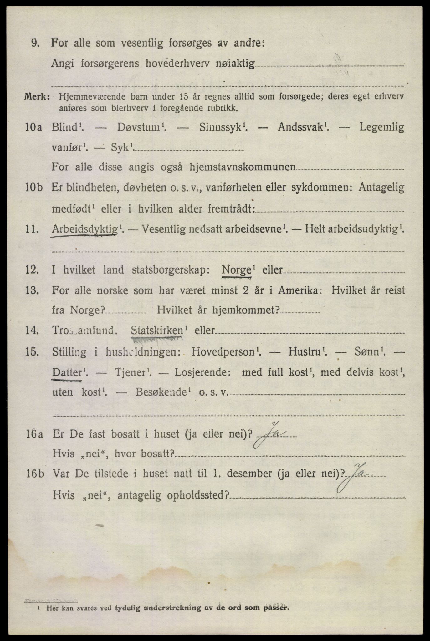 SAKO, 1920 census for Våle, 1920, p. 1955