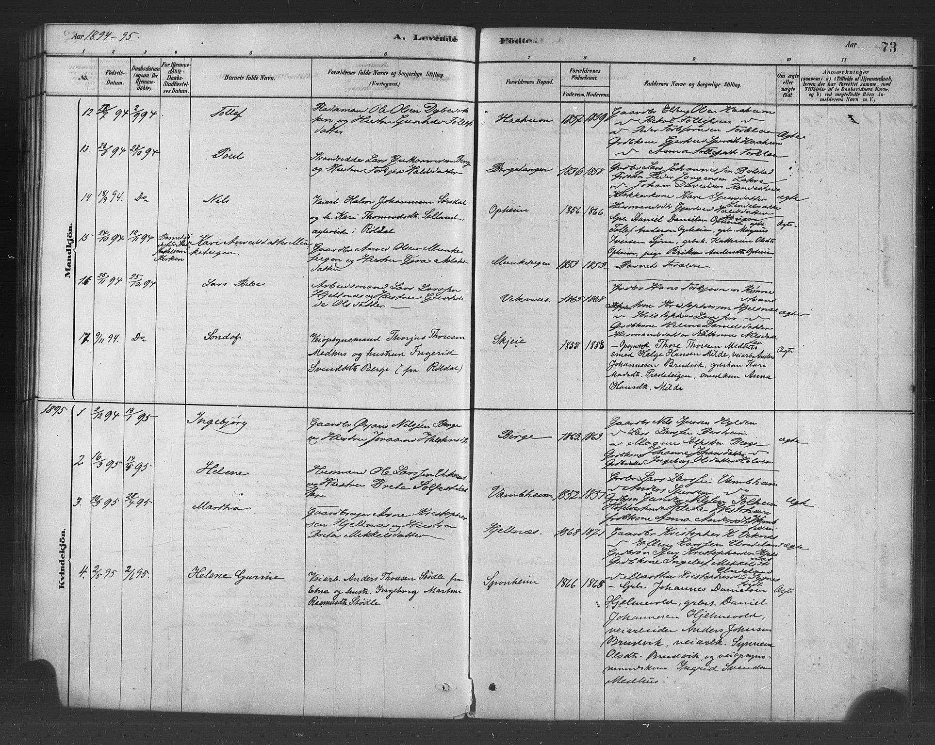 Ulvik sokneprestembete, SAB/A-78801/H/Haa: Parish register (official) no. B 1, 1878-1897, p. 73