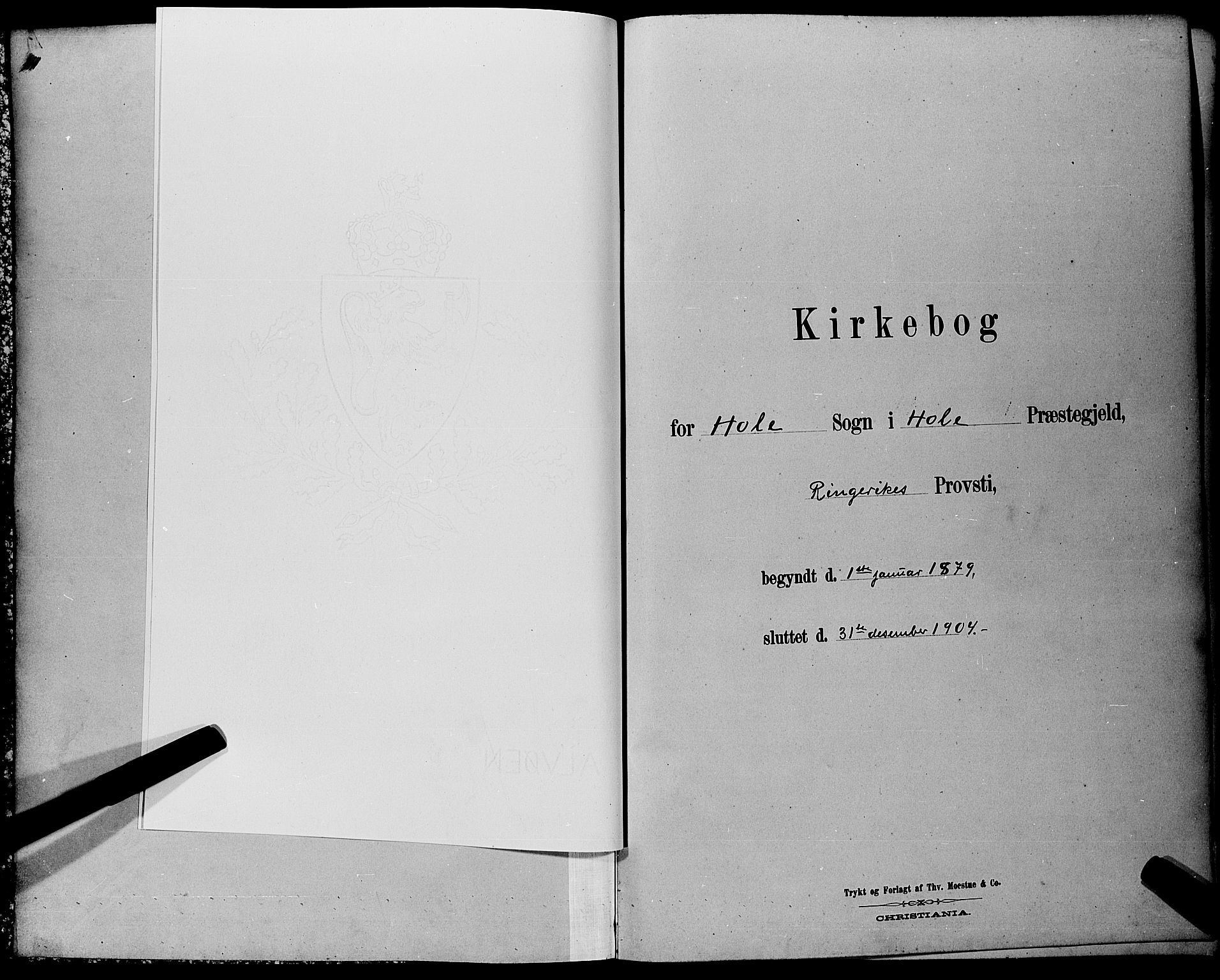 Hole kirkebøker, AV/SAKO-A-228/G/Ga/L0003: Parish register (copy) no. I 3, 1879-1904