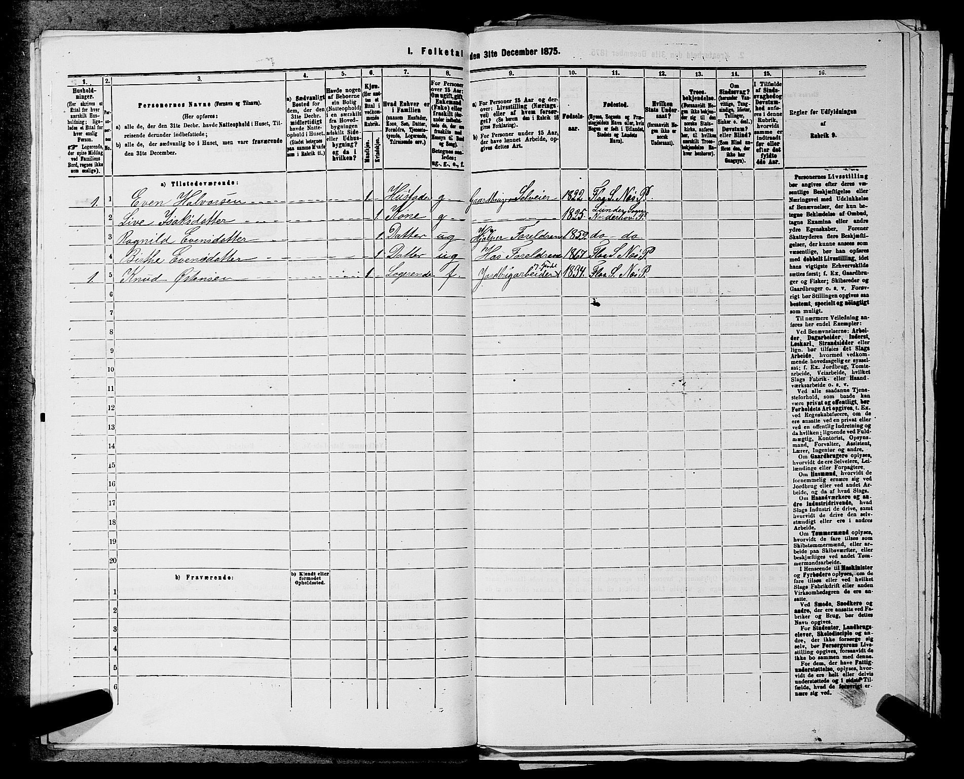SAKO, 1875 census for 0616P Nes, 1875, p. 1425