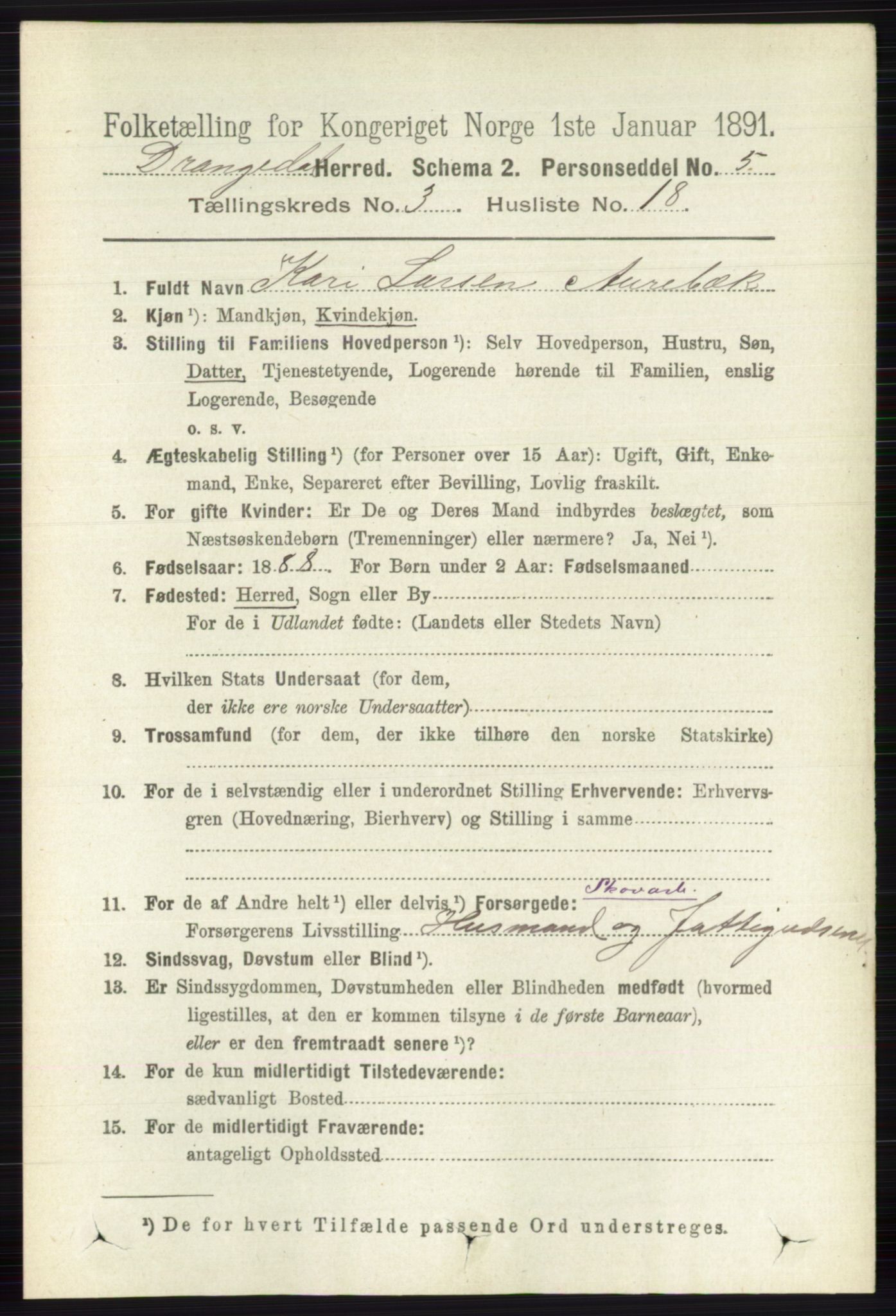 RA, 1891 census for 0817 Drangedal, 1891, p. 964