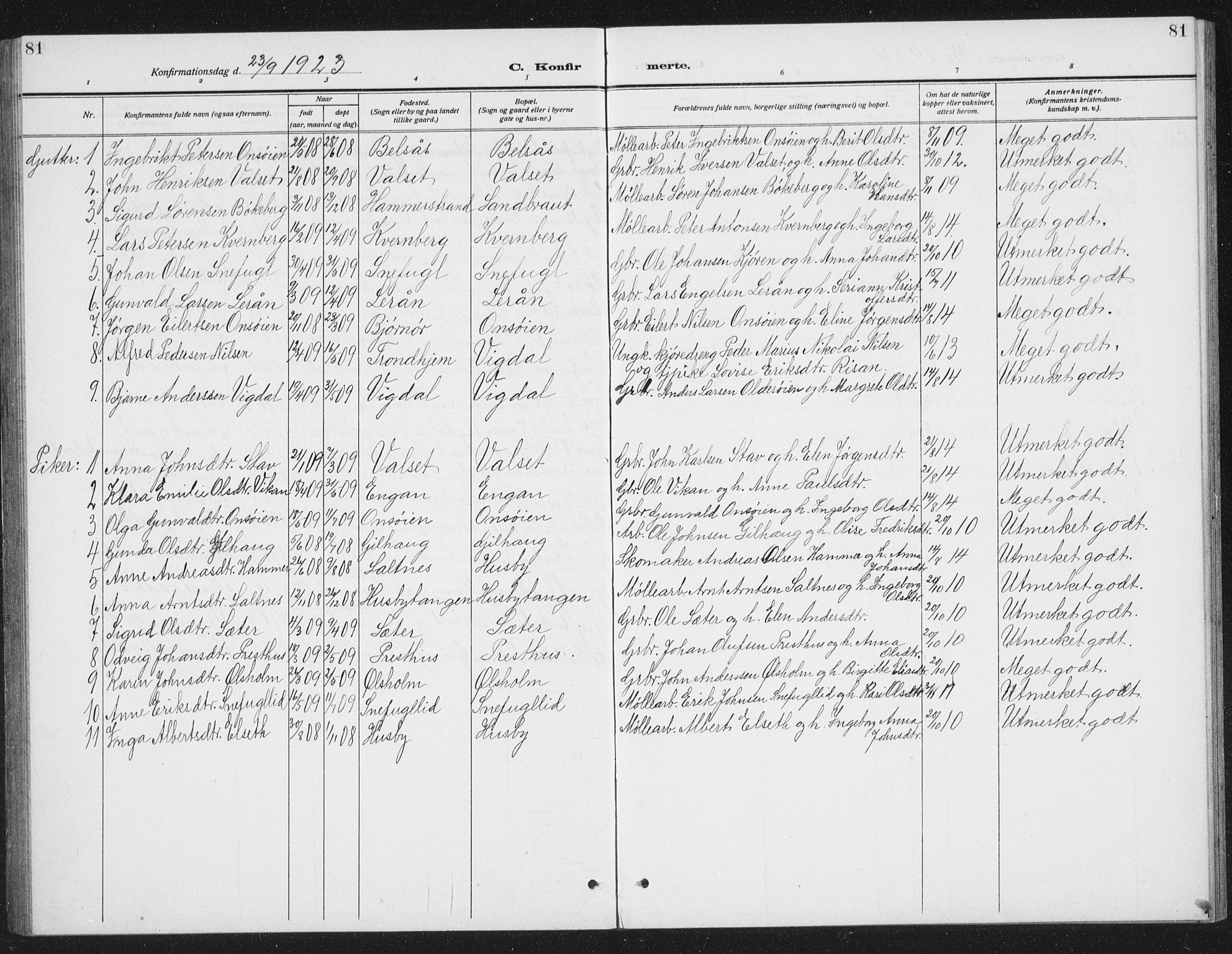 Ministerialprotokoller, klokkerbøker og fødselsregistre - Sør-Trøndelag, SAT/A-1456/666/L0791: Parish register (copy) no. 666C04, 1909-1939, p. 81