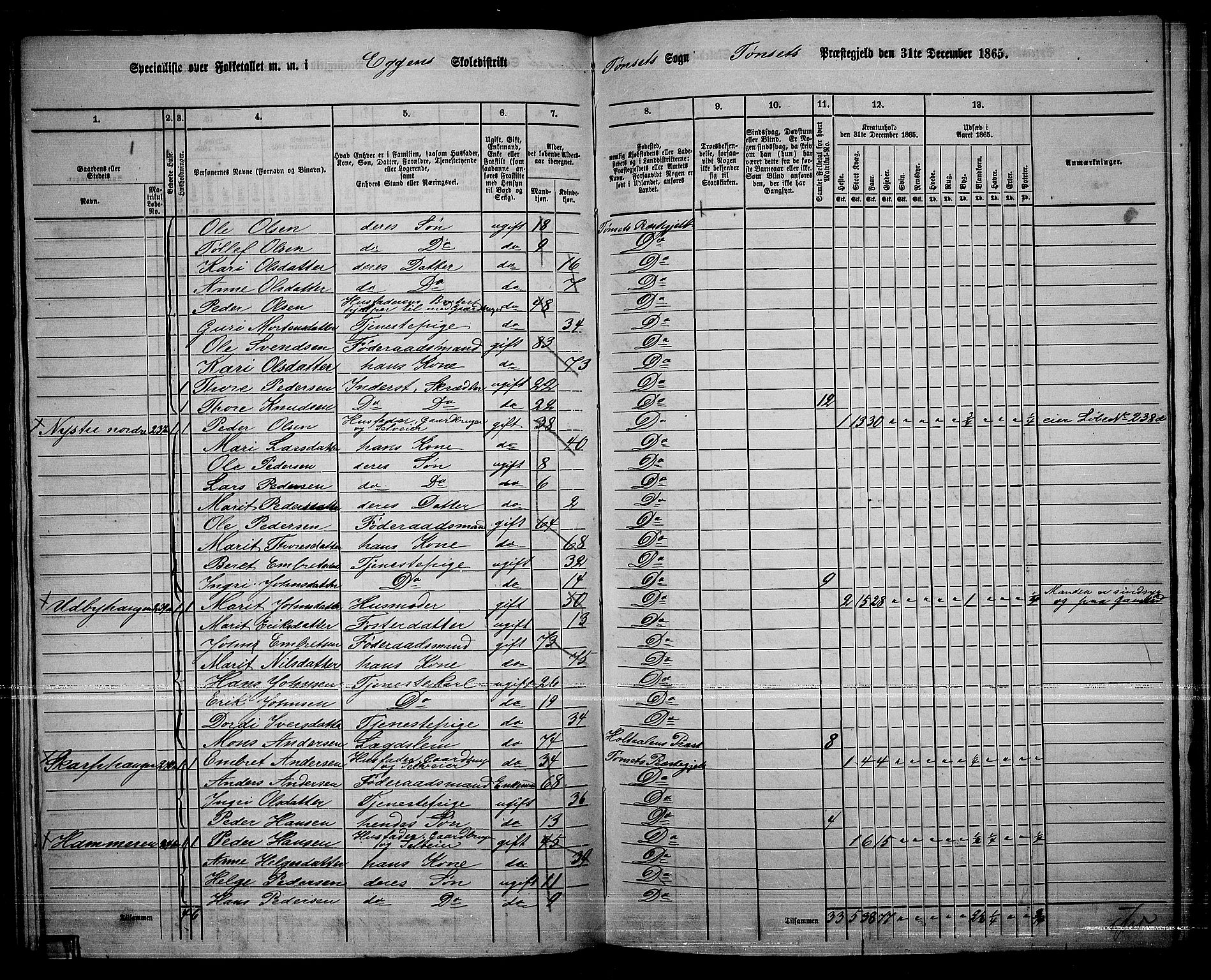 RA, 1865 census for Tynset, 1865, p. 98