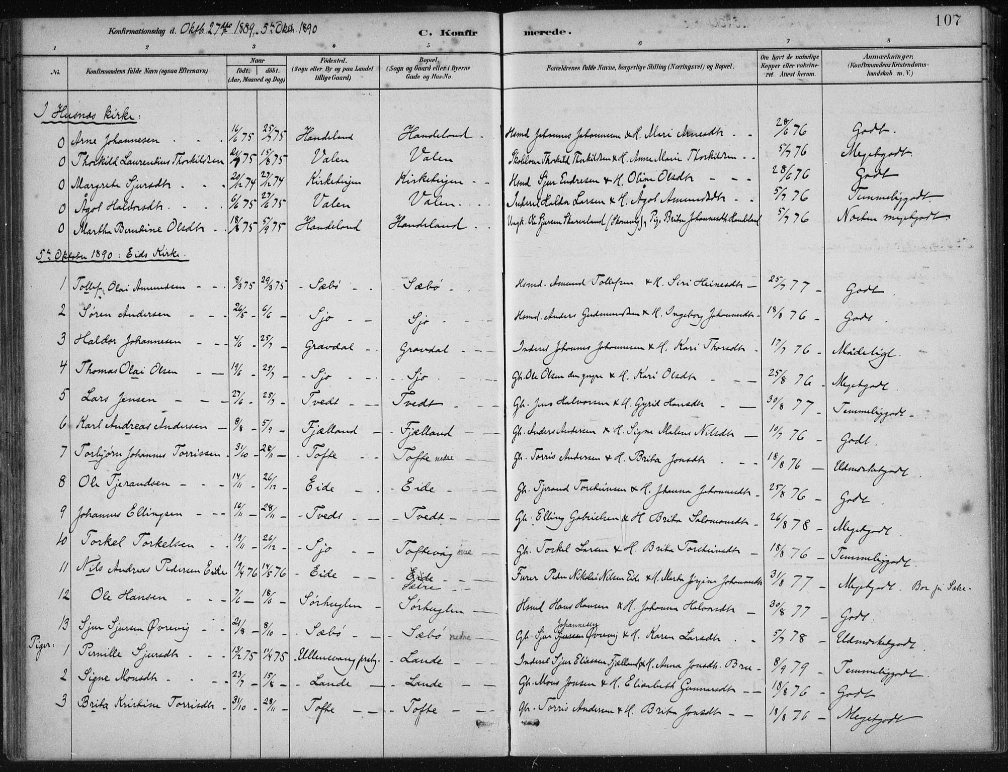 Fjelberg sokneprestembete, SAB/A-75201/H/Haa: Parish register (official) no. C  1, 1879-1918, p. 107