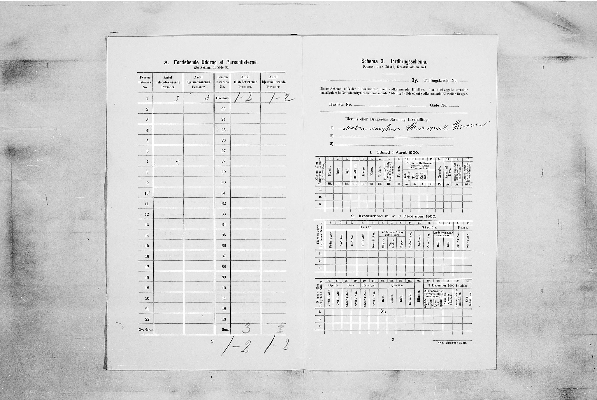 RA, 1900 census for Sandefjord, 1900, p. 1684