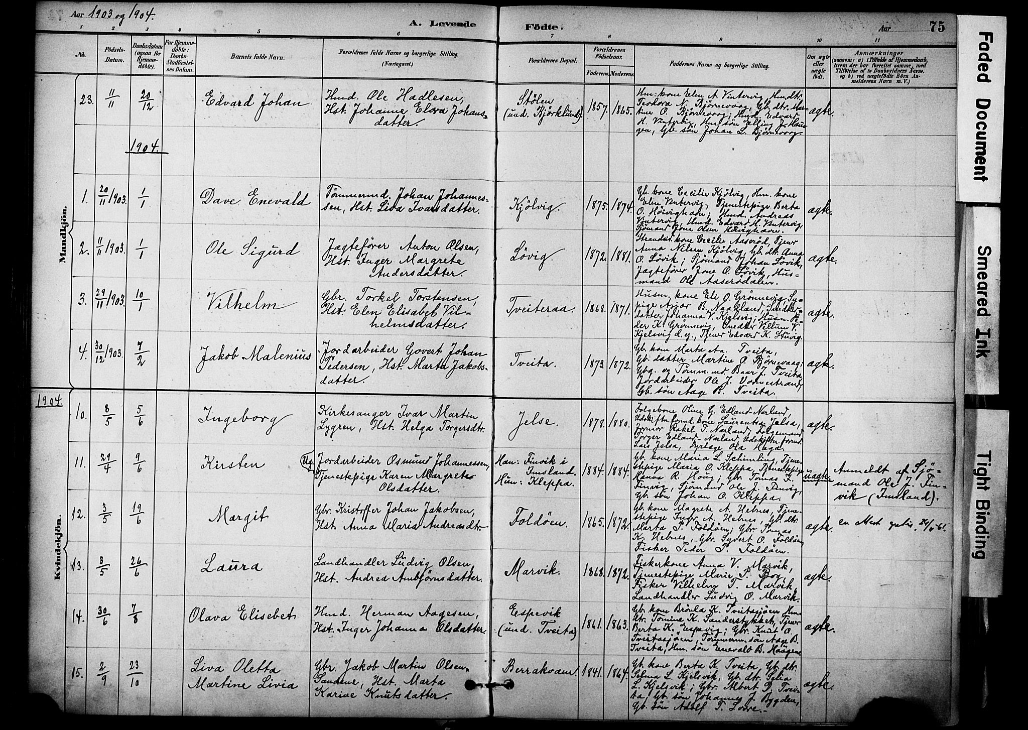 Jelsa sokneprestkontor, AV/SAST-A-101842/01/IV: Parish register (official) no. A 10, 1884-1906, p. 75