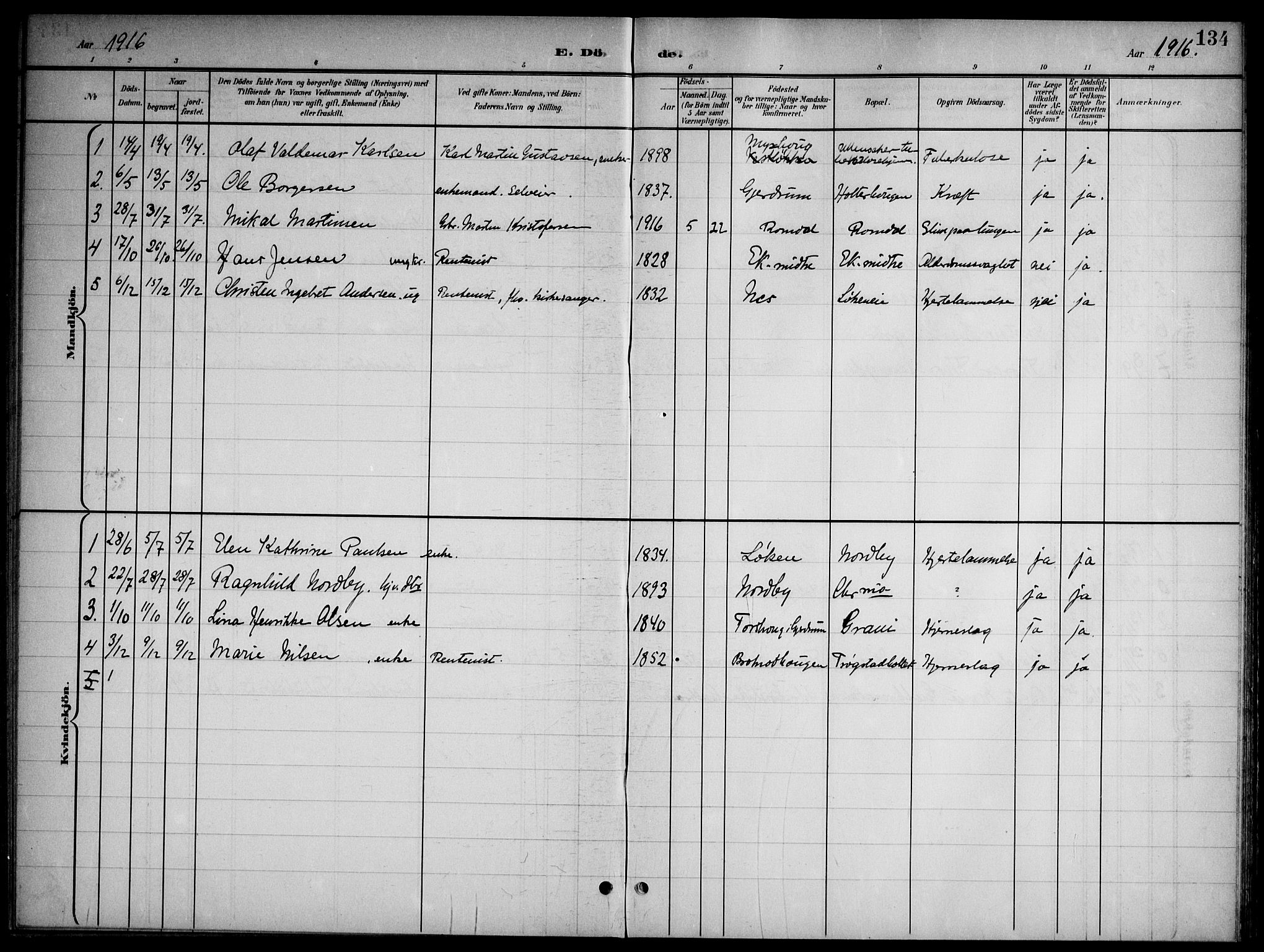 Nannestad prestekontor Kirkebøker, SAO/A-10414a/G/Gb/L0001: Parish register (copy) no. II 1, 1901-1917, p. 134