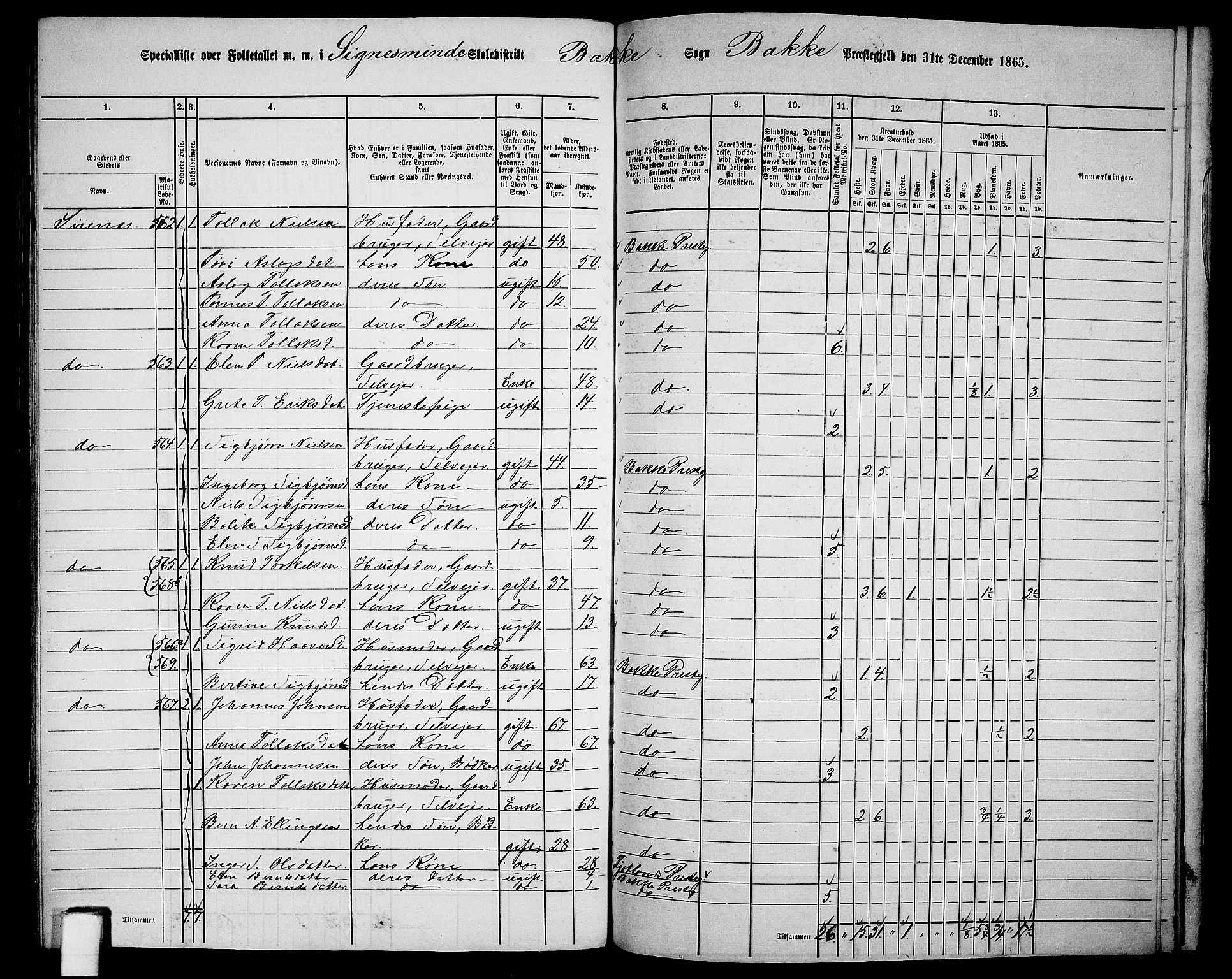 RA, 1865 census for Bakke, 1865, p. 102