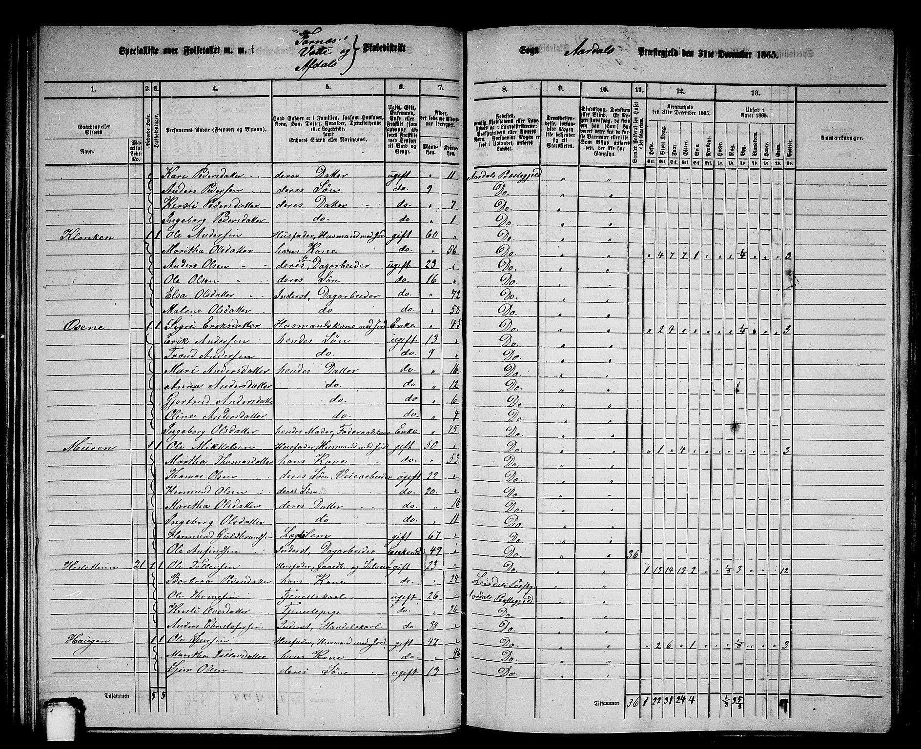 RA, 1865 census for Årdal, 1865, p. 71