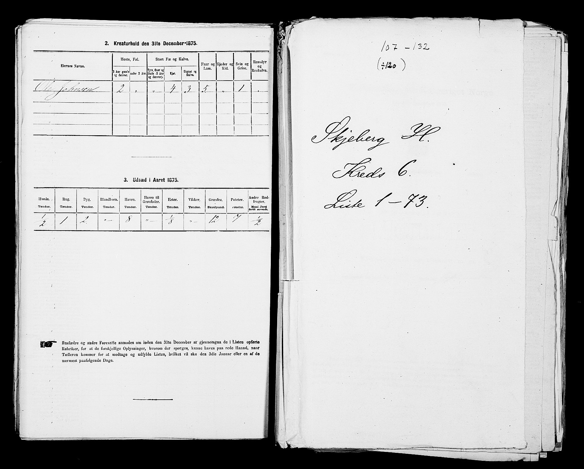 RA, 1875 census for 0115P Skjeberg, 1875, p. 1011