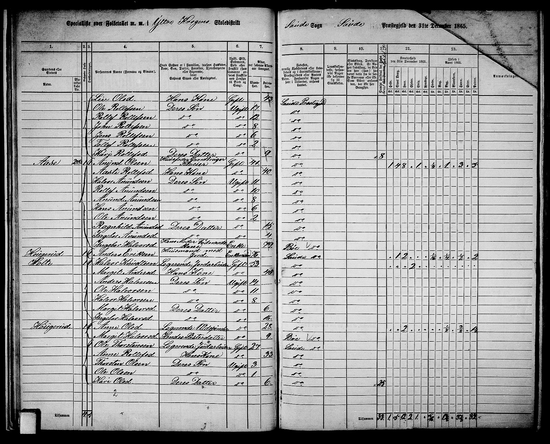 RA, 1865 census for Sauherad, 1865, p. 25