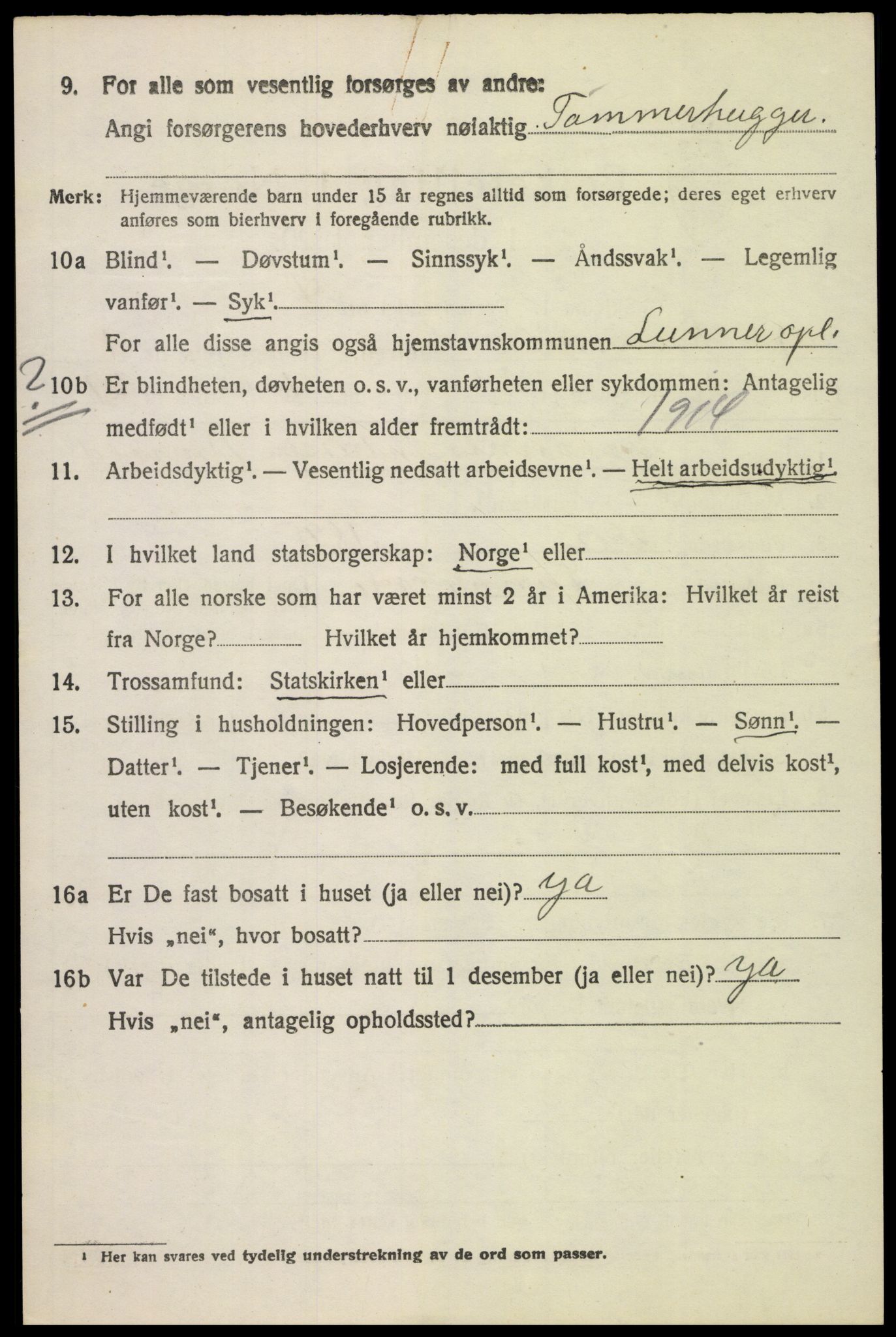 SAH, 1920 census for Lunner, 1920, p. 1918