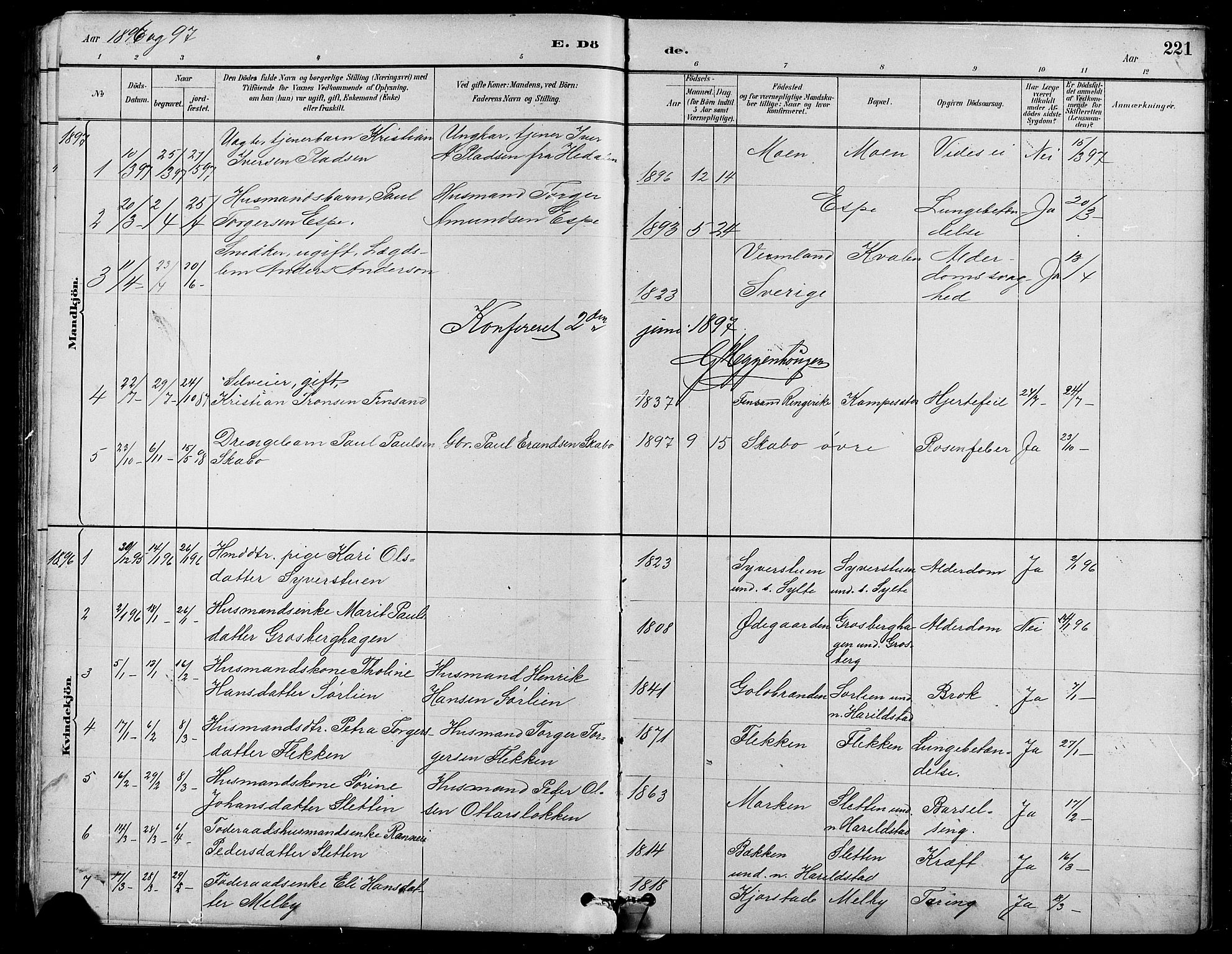 Nord-Fron prestekontor, SAH/PREST-080/H/Ha/Hab/L0005: Parish register (copy) no. 5, 1884-1914, p. 221