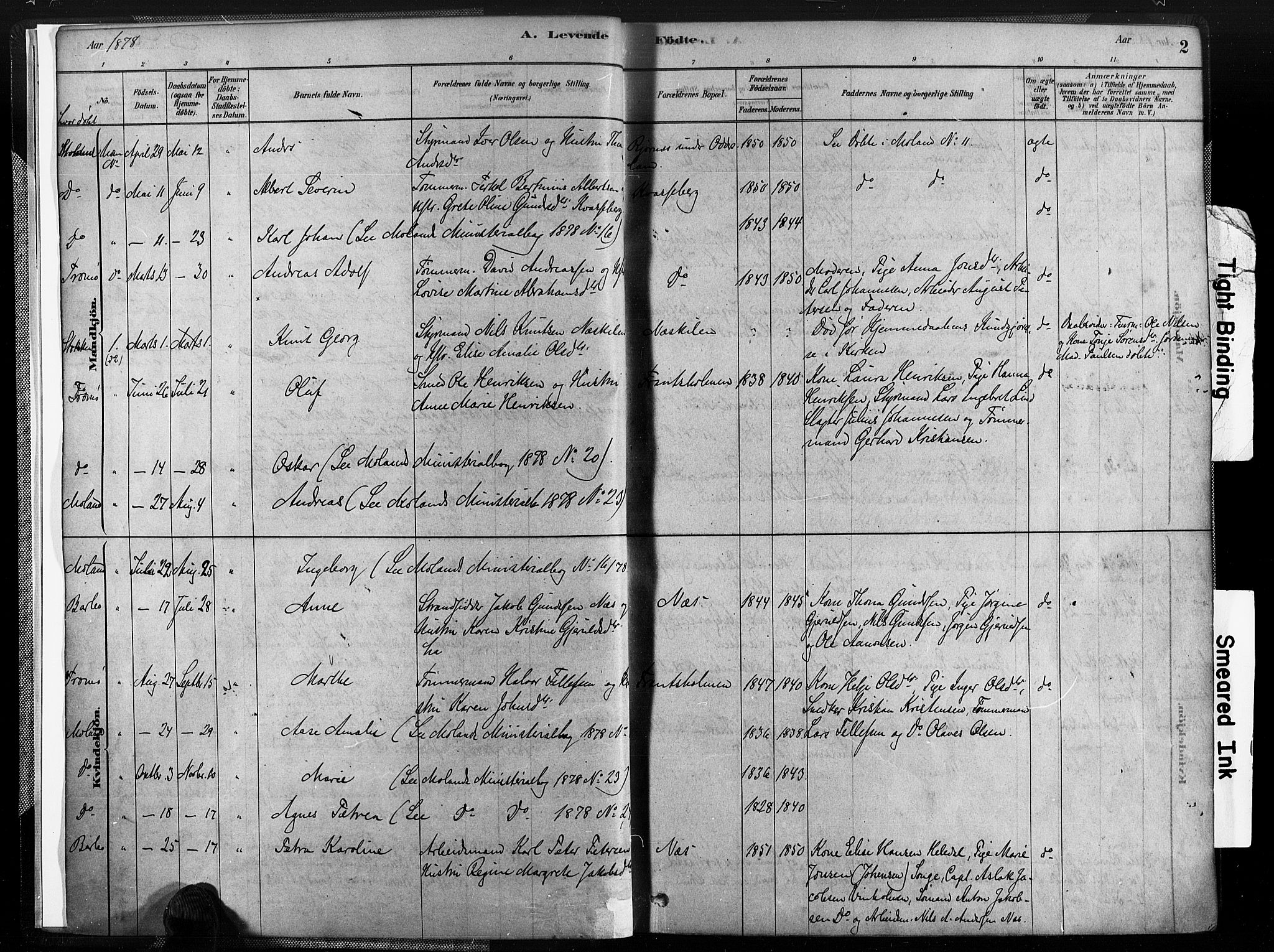 Austre Moland sokneprestkontor, SAK/1111-0001/F/Fa/Fab/L0001: Parish register (official) no. A 1, 1878-1898, p. 2