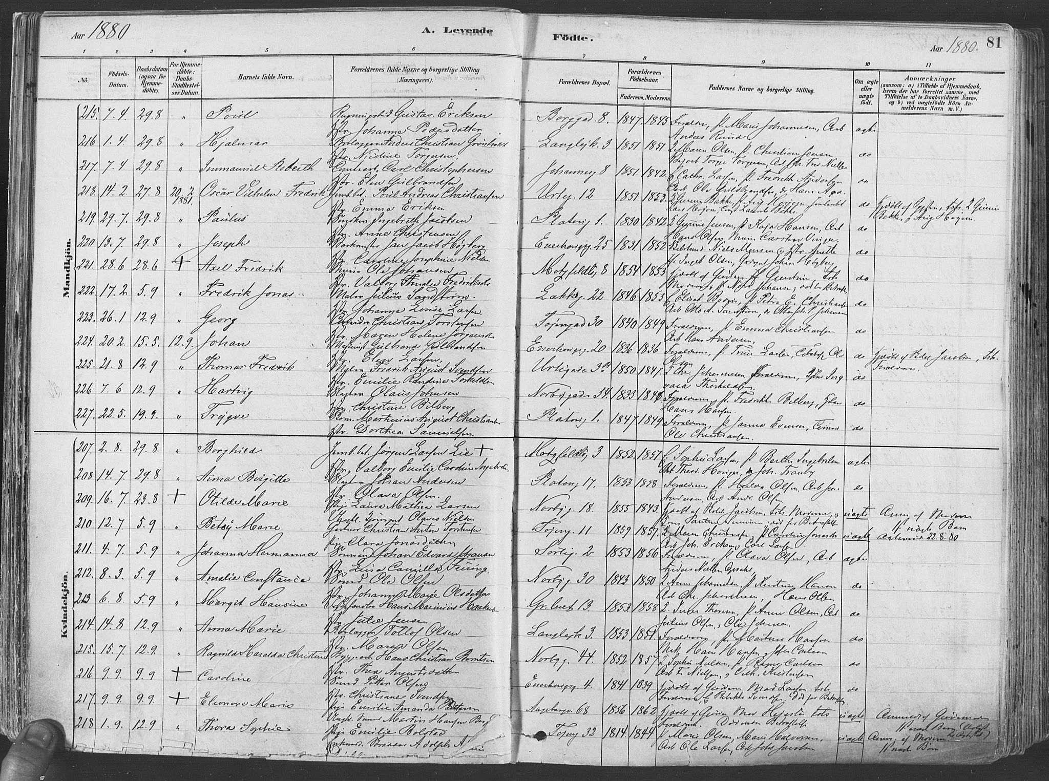 Grønland prestekontor Kirkebøker, AV/SAO-A-10848/F/Fa/L0007: Parish register (official) no. 7, 1878-1888, p. 81