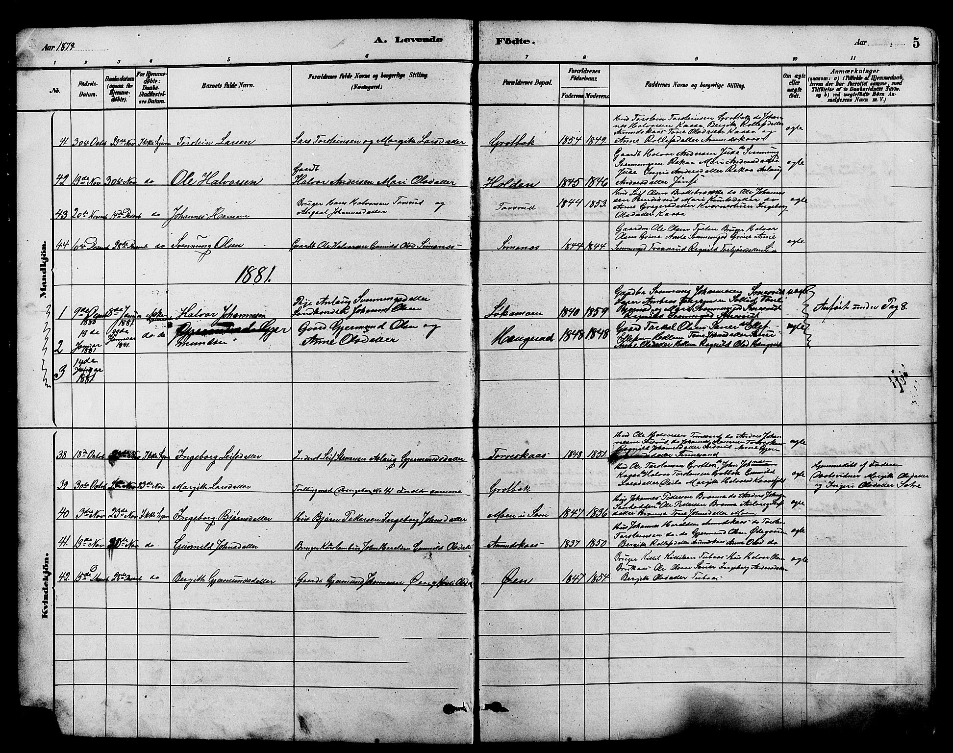Heddal kirkebøker, SAKO/A-268/G/Ga/L0002: Parish register (copy) no. I 2, 1879-1908, p. 5