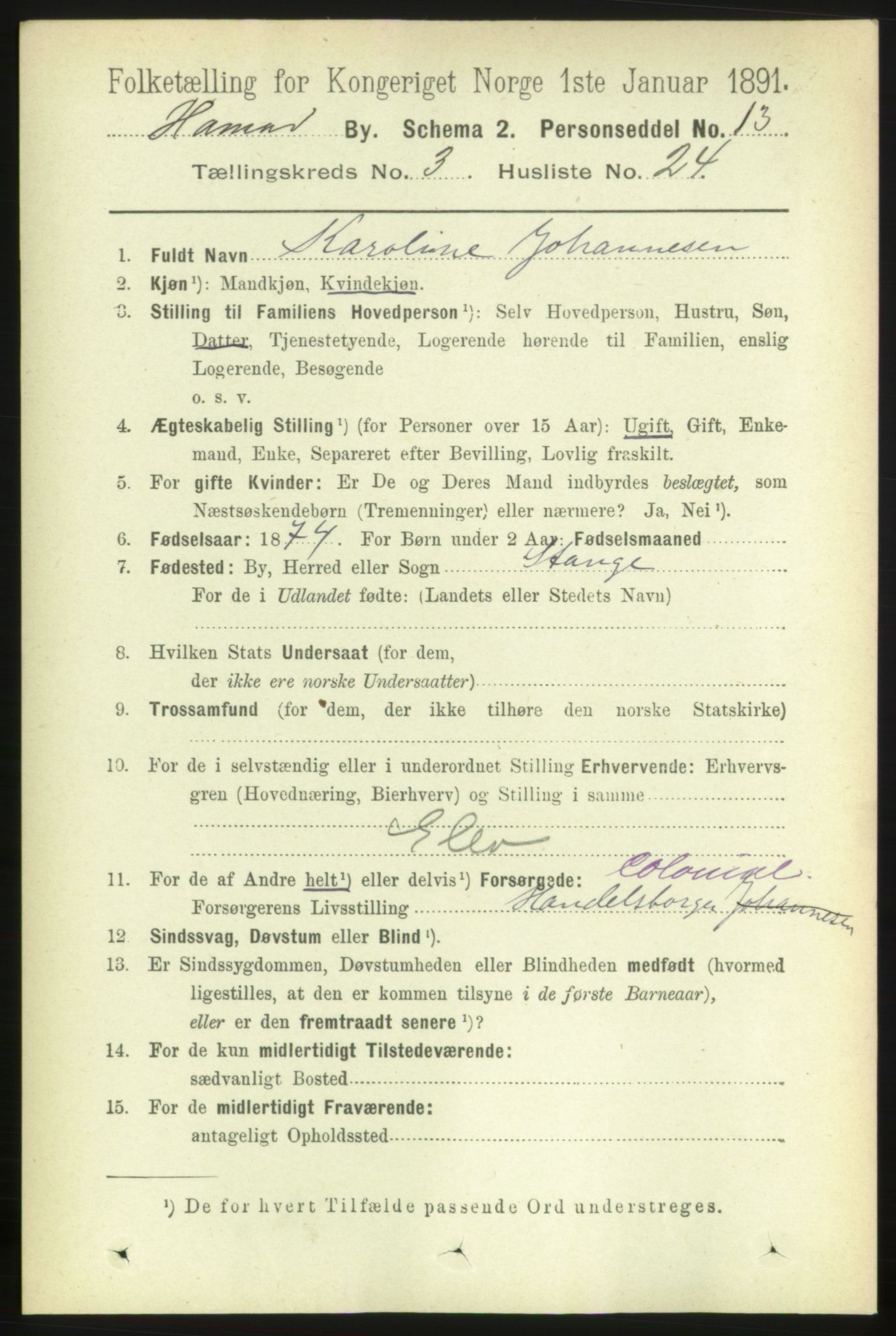 RA, 1891 census for 0401 Hamar, 1891, p. 2245