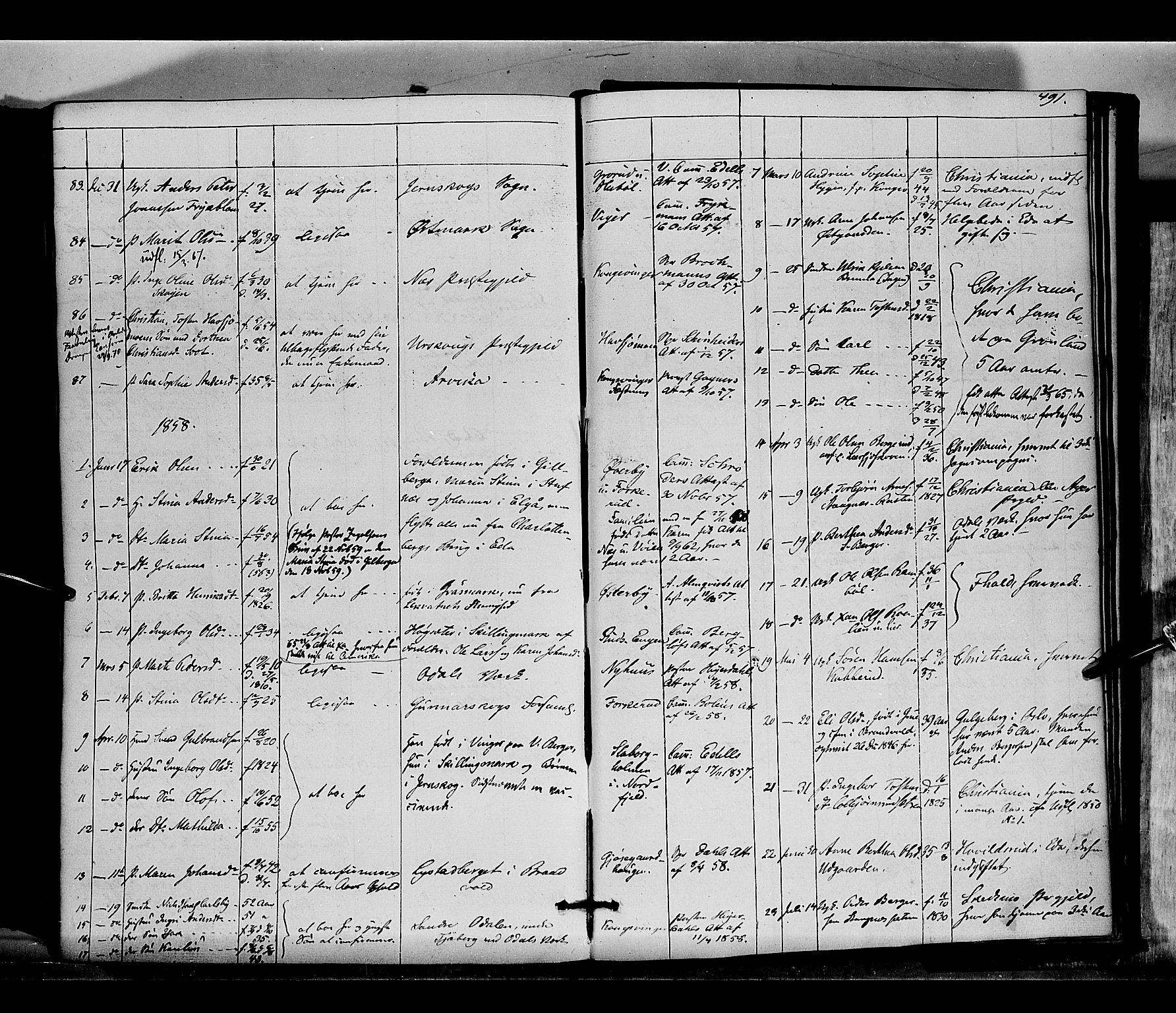 Vinger prestekontor, SAH/PREST-024/H/Ha/Haa/L0010: Parish register (official) no. 10, 1855-1861, p. 491