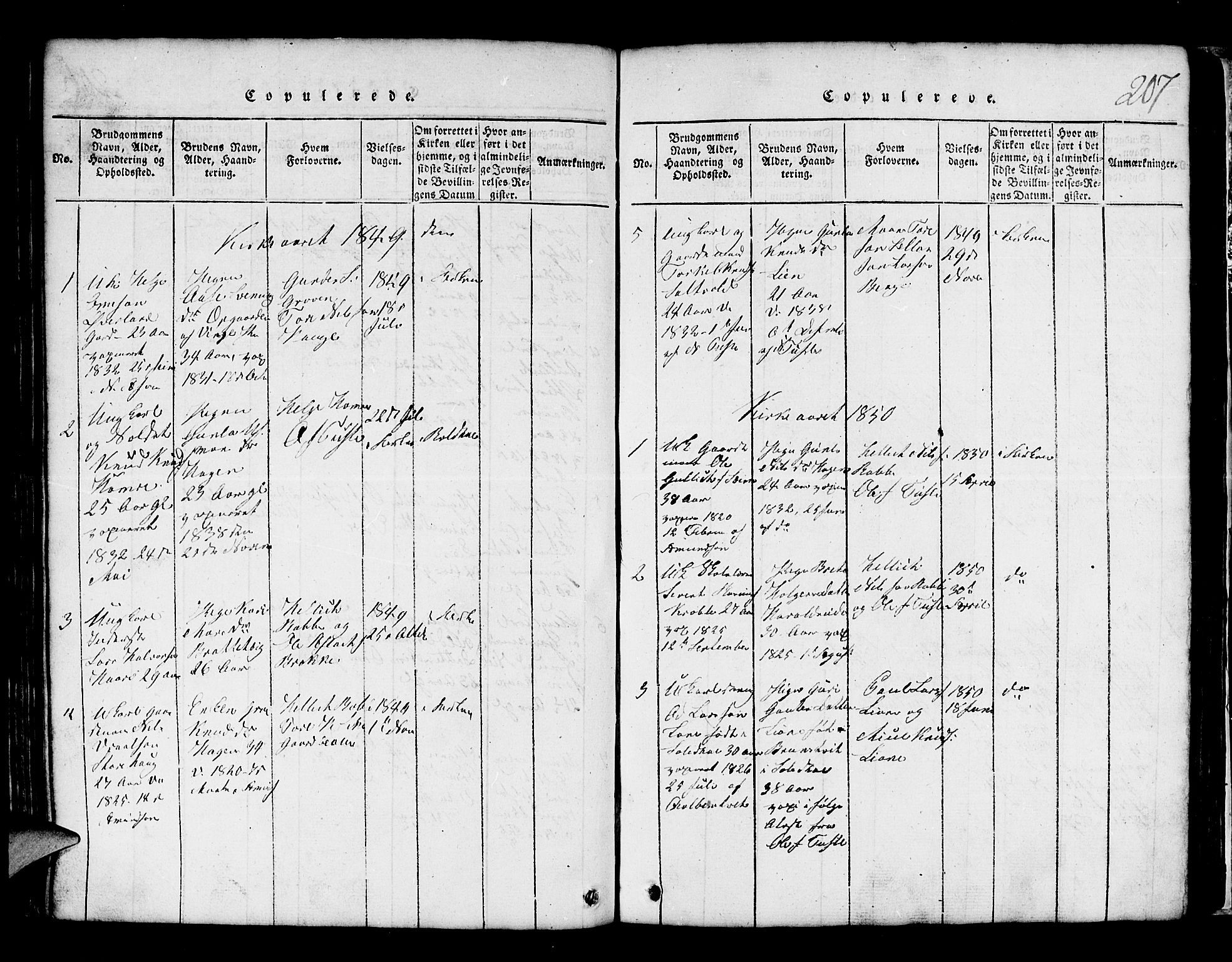 Røldal sokneprestembete, SAB/A-100247: Parish register (copy) no. A 1, 1817-1860, p. 207