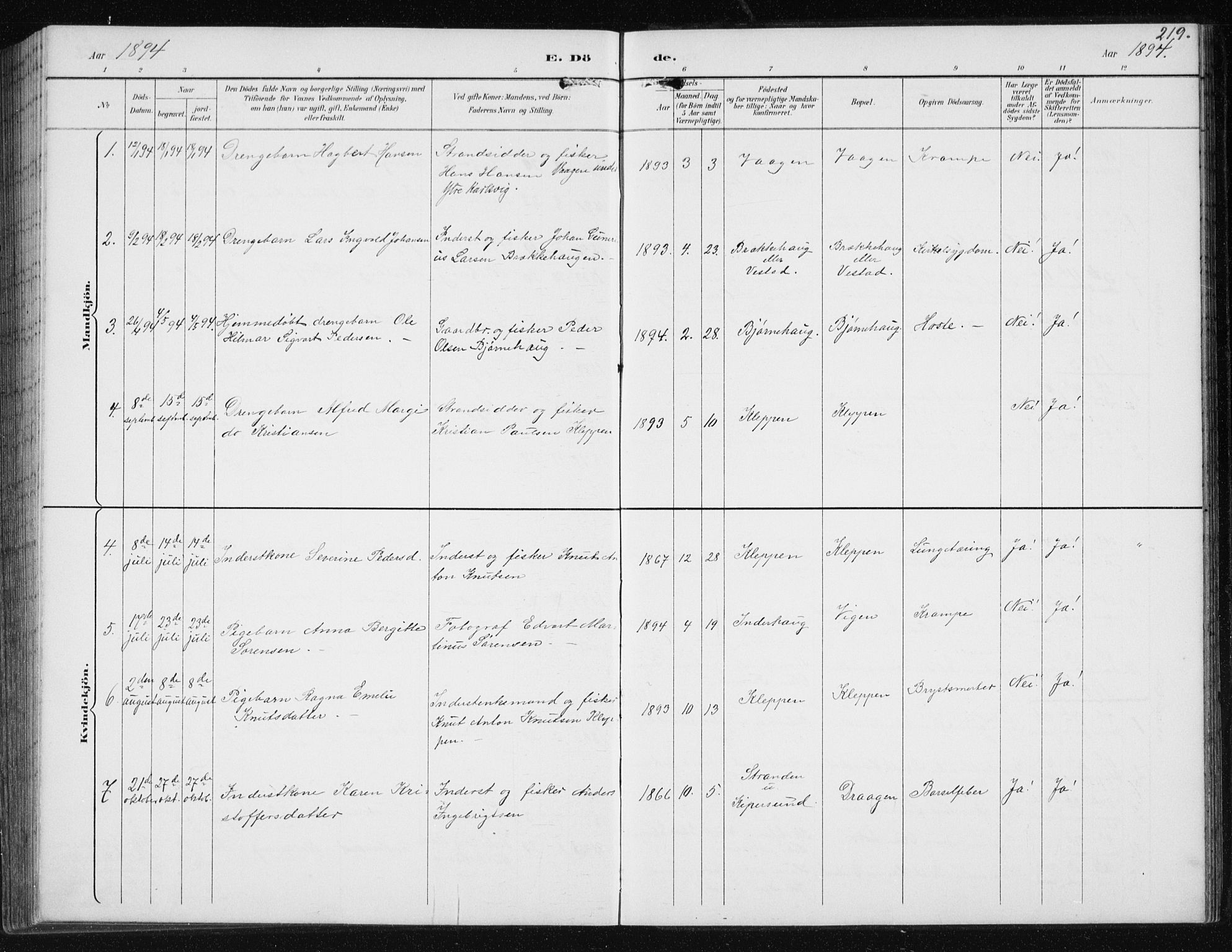 Ministerialprotokoller, klokkerbøker og fødselsregistre - Møre og Romsdal, AV/SAT-A-1454/566/L0773: Parish register (copy) no. 566C02, 1892-1909, p. 219