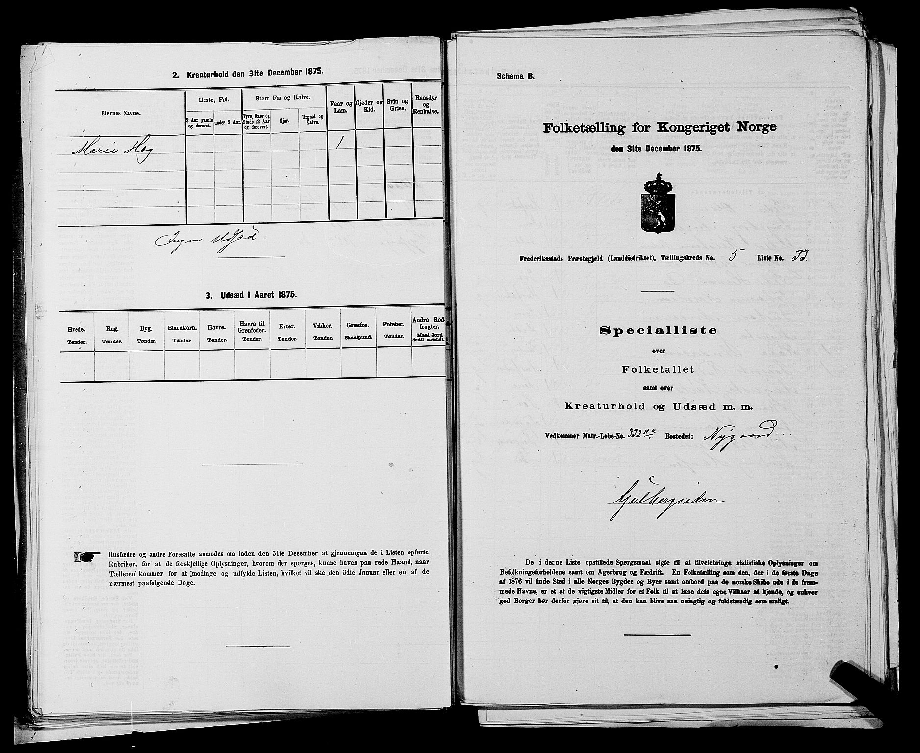 RA, 1875 census for 0132L Fredrikstad/Glemmen, 1875, p. 1001