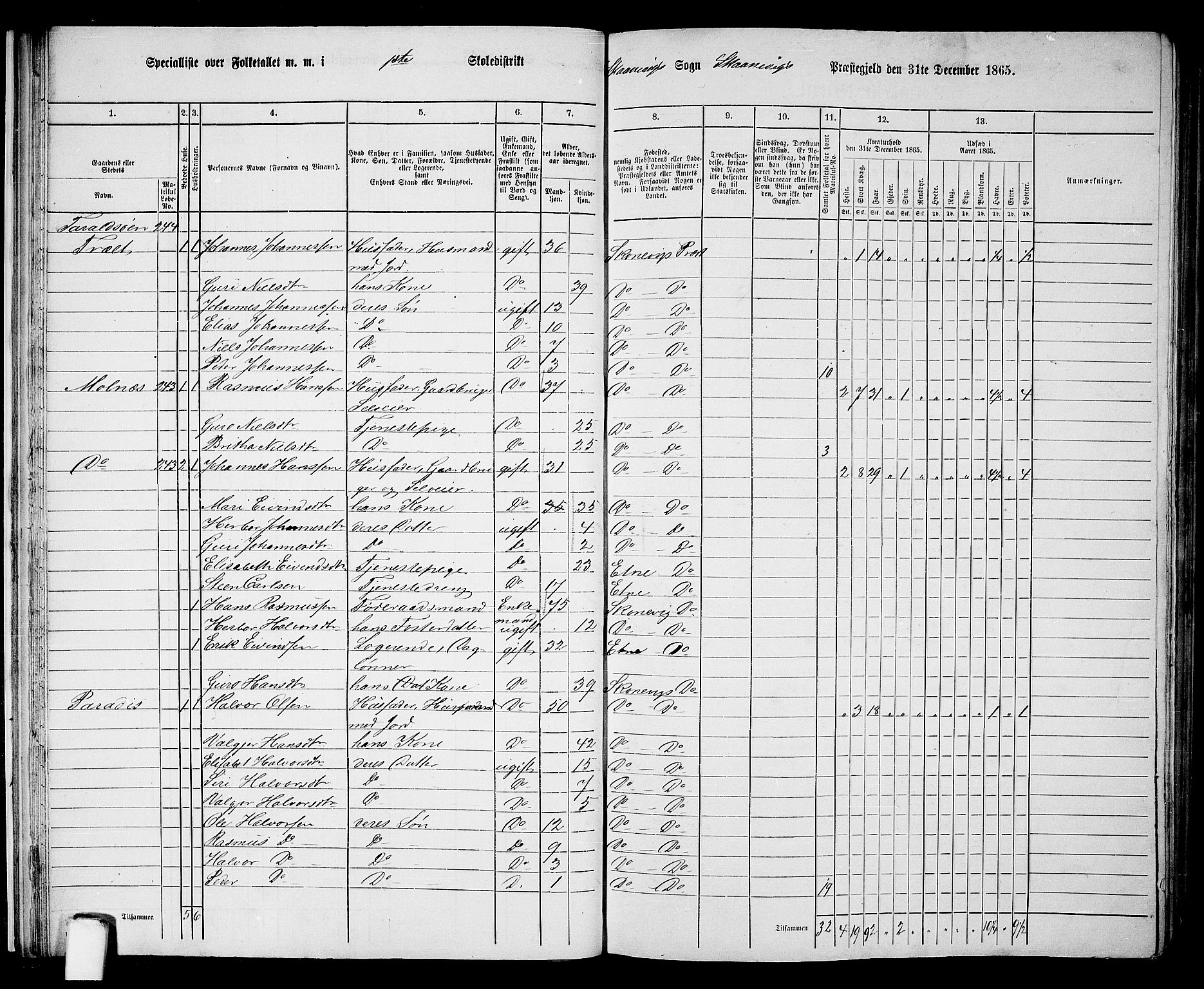 RA, 1865 census for Skånevik, 1865, p. 20