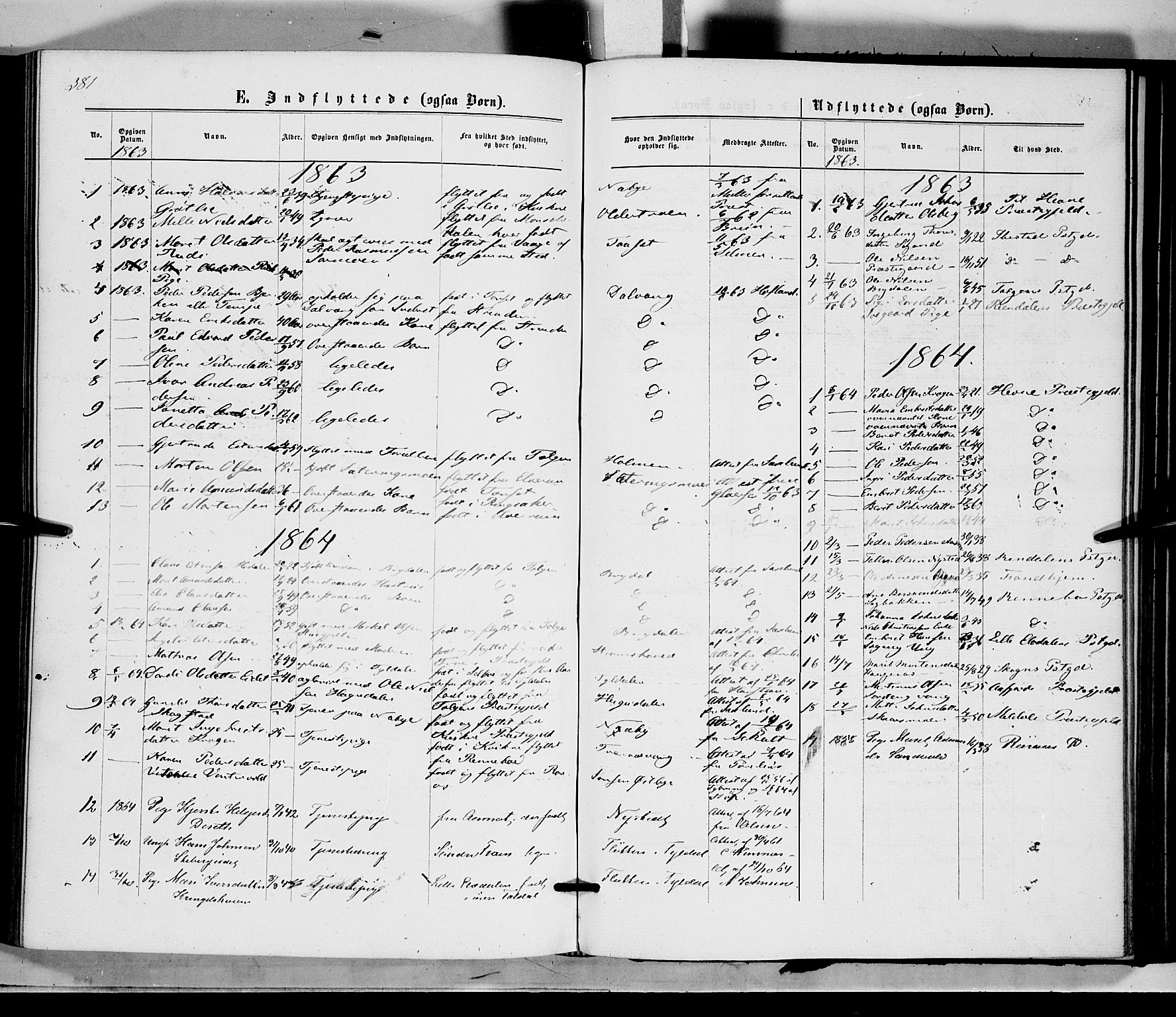 Tynset prestekontor, SAH/PREST-058/H/Ha/Haa/L0021: Parish register (official) no. 21, 1863-1879, p. 381a