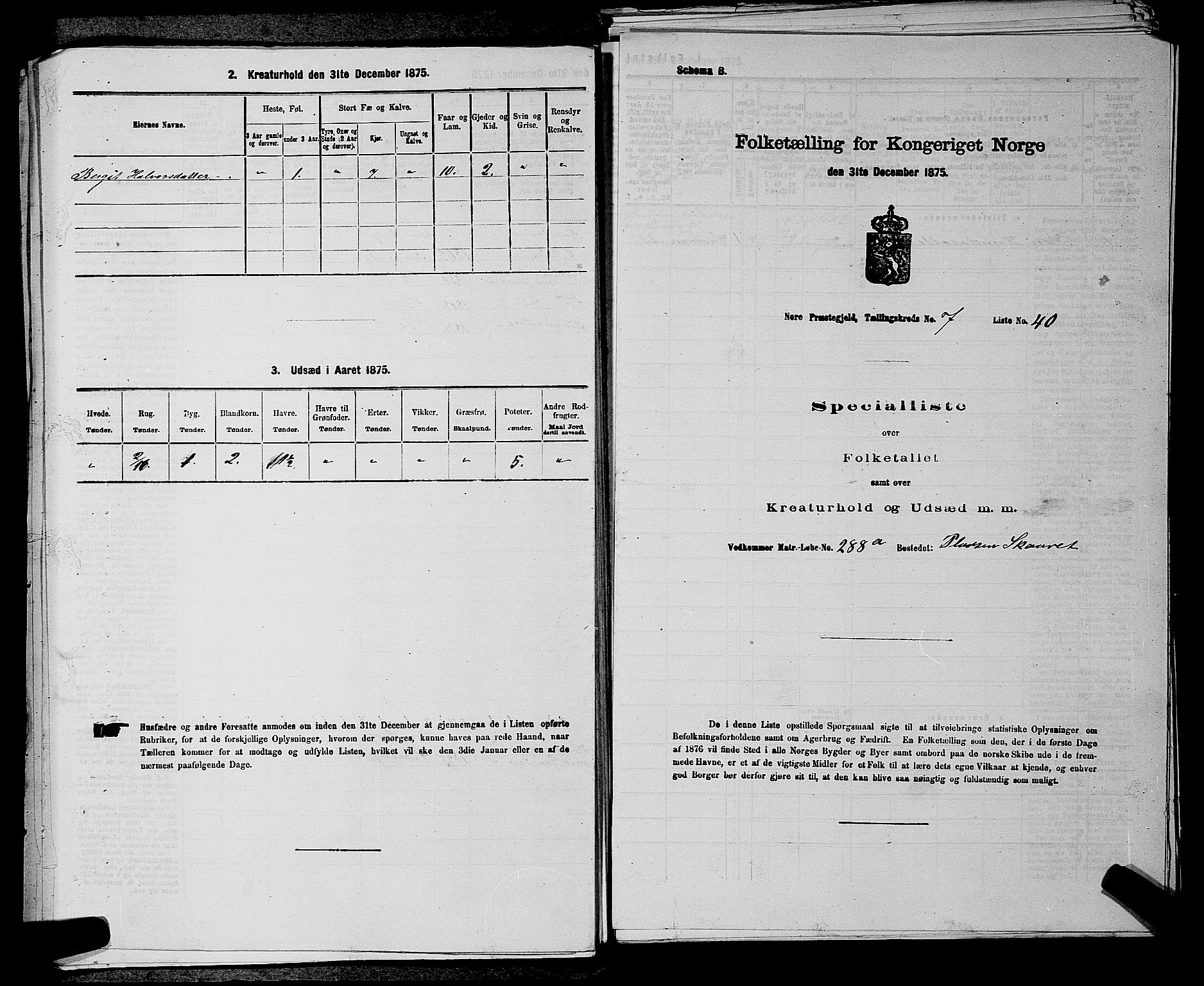 SAKO, 1875 census for 0633P Nore, 1875, p. 906
