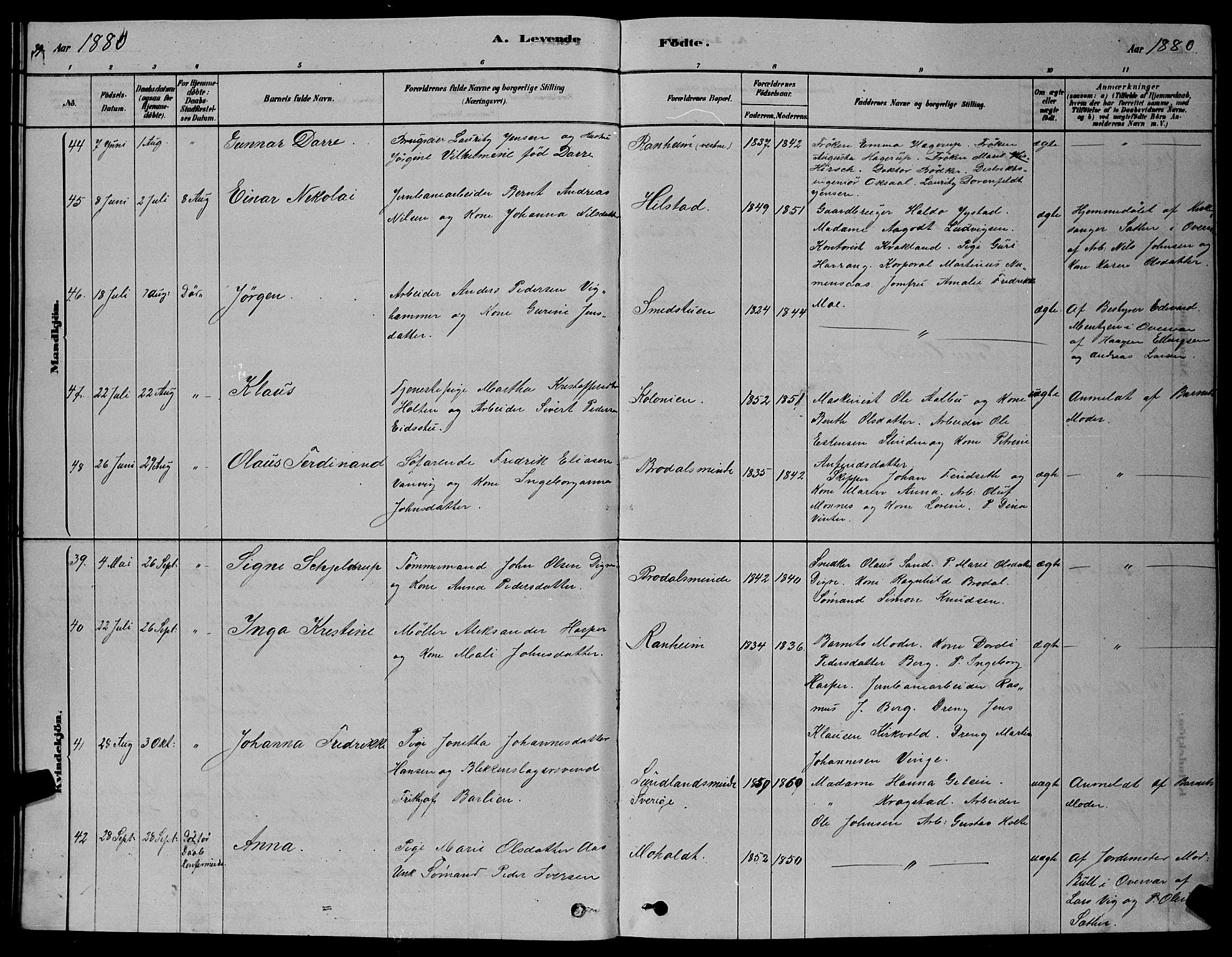 Ministerialprotokoller, klokkerbøker og fødselsregistre - Sør-Trøndelag, AV/SAT-A-1456/606/L0312: Parish register (copy) no. 606C08, 1878-1894, p. 39