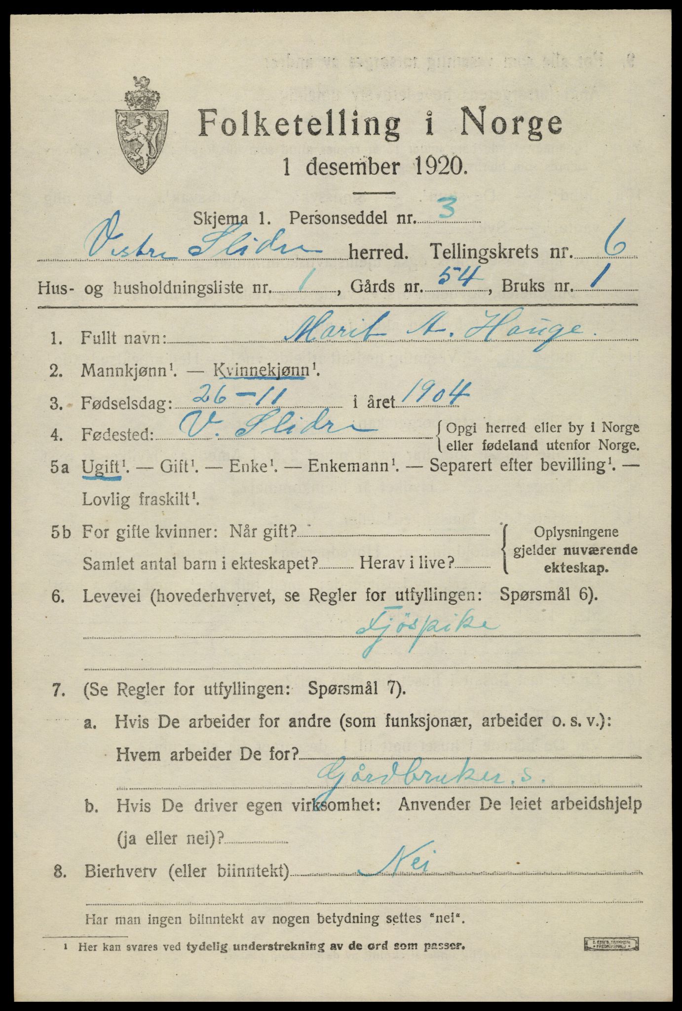 SAH, 1920 census for Vestre Slidre, 1920, p. 3260