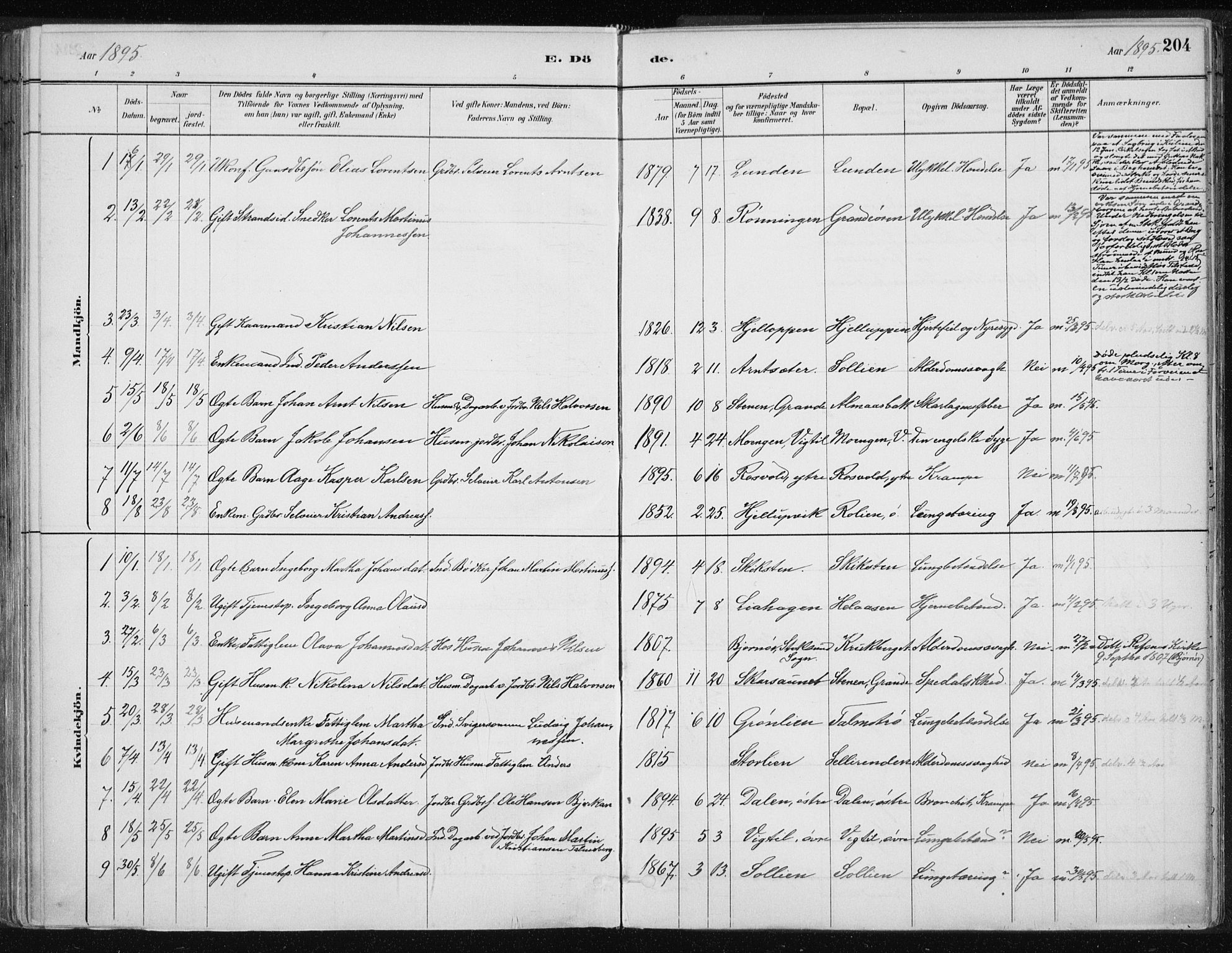 Ministerialprotokoller, klokkerbøker og fødselsregistre - Nord-Trøndelag, AV/SAT-A-1458/701/L0010: Parish register (official) no. 701A10, 1883-1899, p. 204