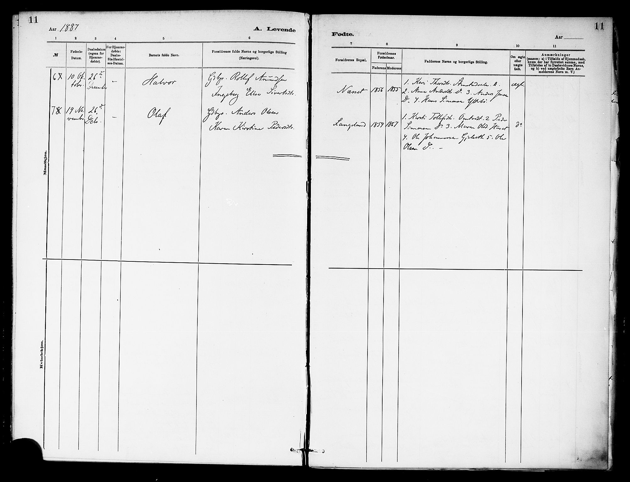 Holla kirkebøker, SAKO/A-272/F/Fa/L0009: Parish register (official) no. 9, 1881-1897, p. 11