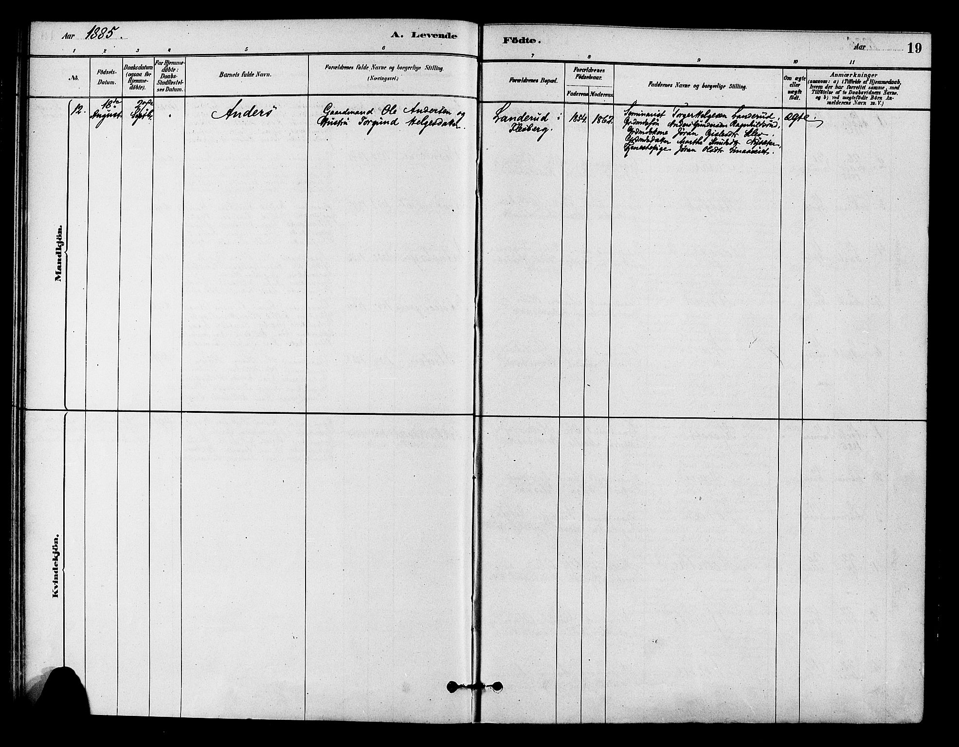 Flesberg kirkebøker, AV/SAKO-A-18/F/Fc/L0001: Parish register (official) no. III 1, 1879-1905, p. 19