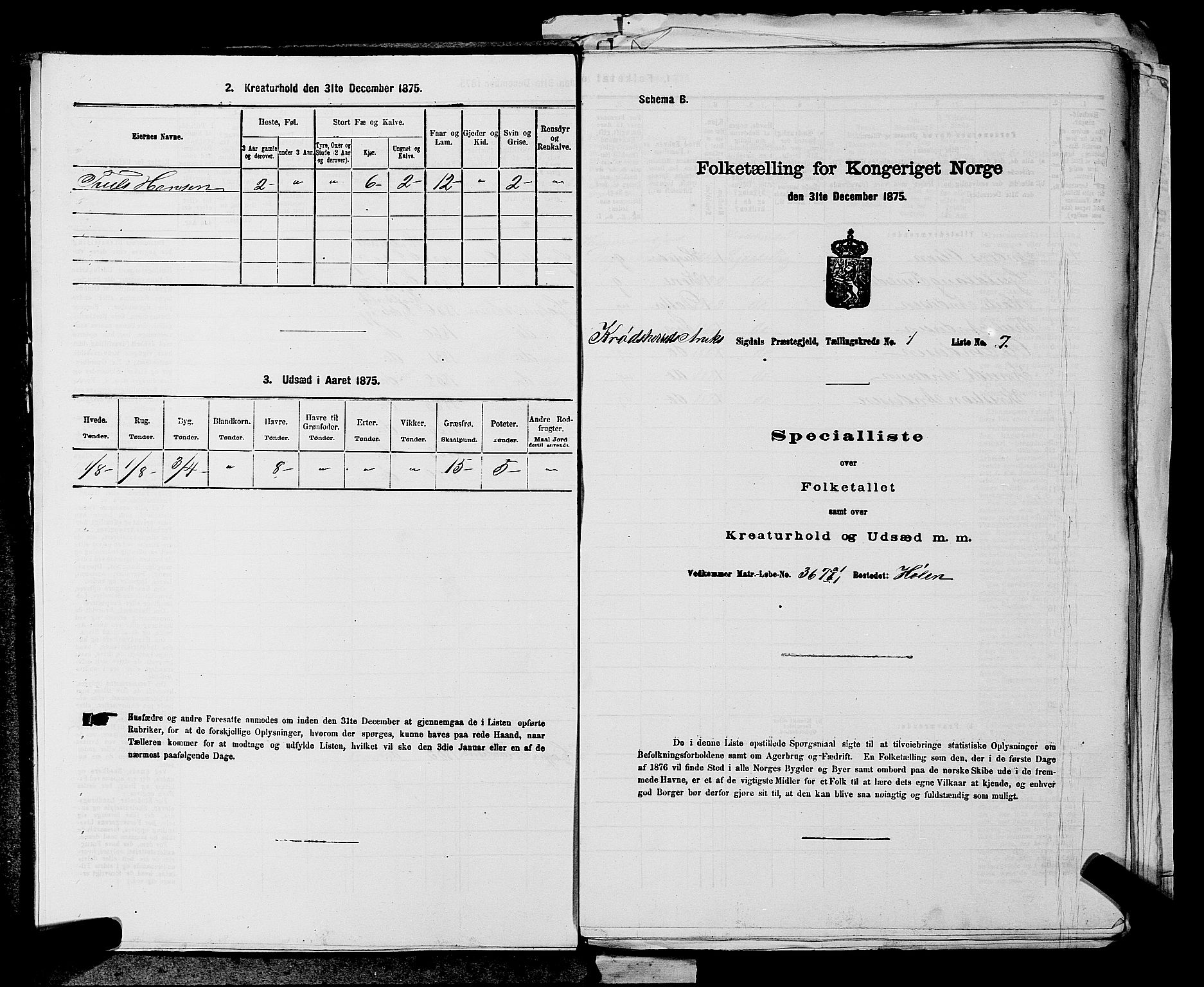 SAKO, 1875 census for 0621P Sigdal, 1875, p. 1180