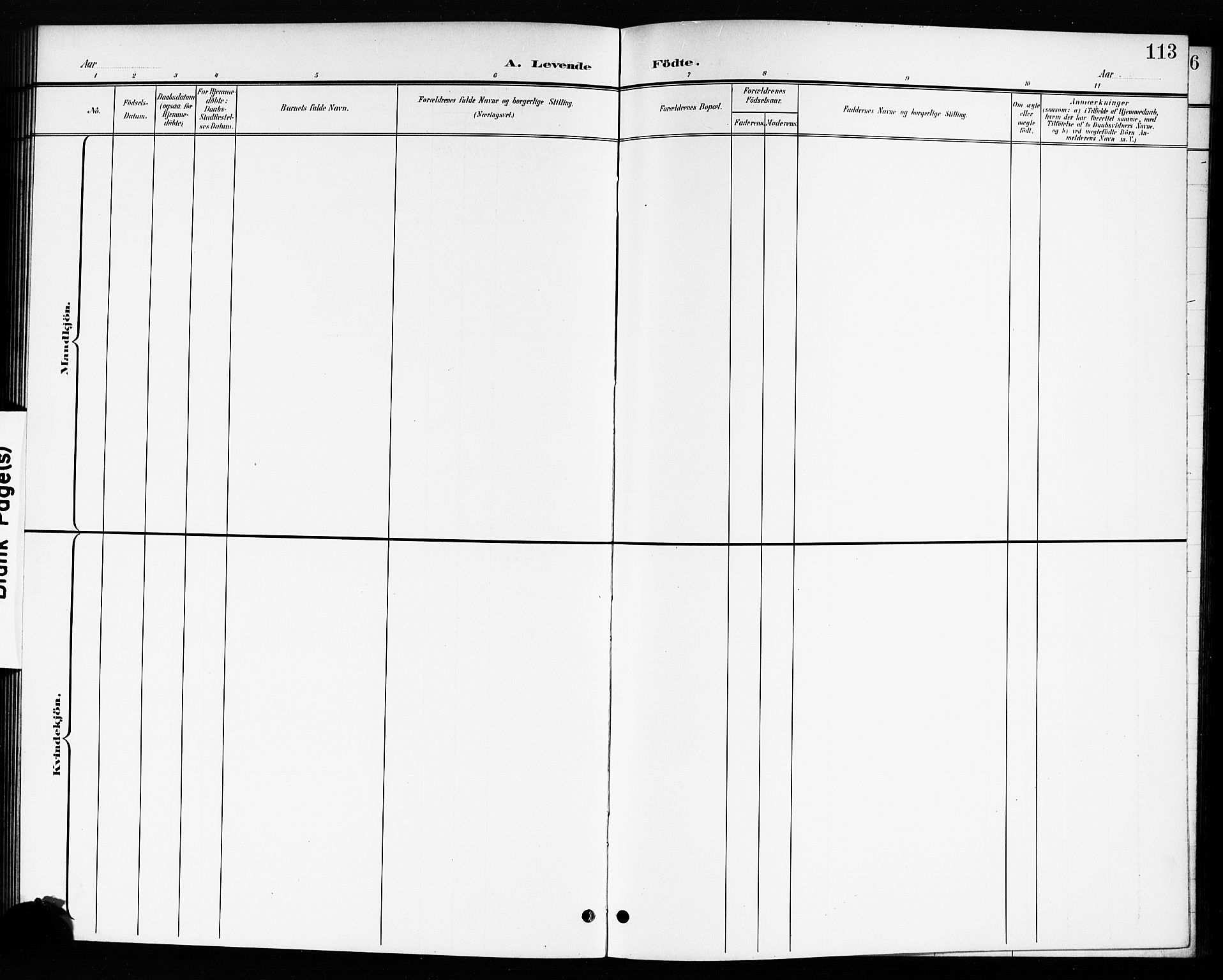 Drøbak prestekontor Kirkebøker, AV/SAO-A-10142a/G/Ga/L0001: Parish register (copy) no. I 1, 1897-1917, p. 113