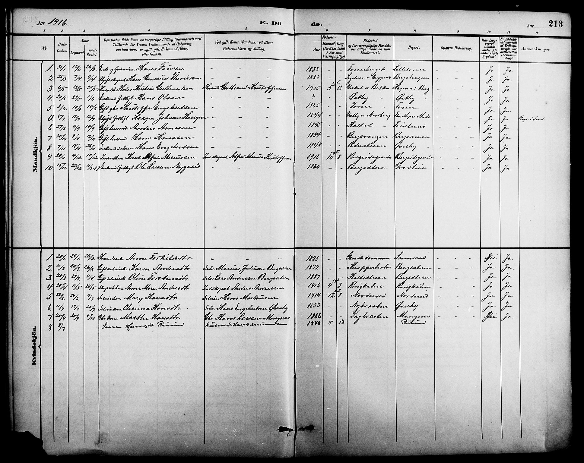 Nord-Odal prestekontor, AV/SAH-PREST-032/H/Ha/Hab/L0002: Parish register (copy) no. 2, 1895-1921, p. 213