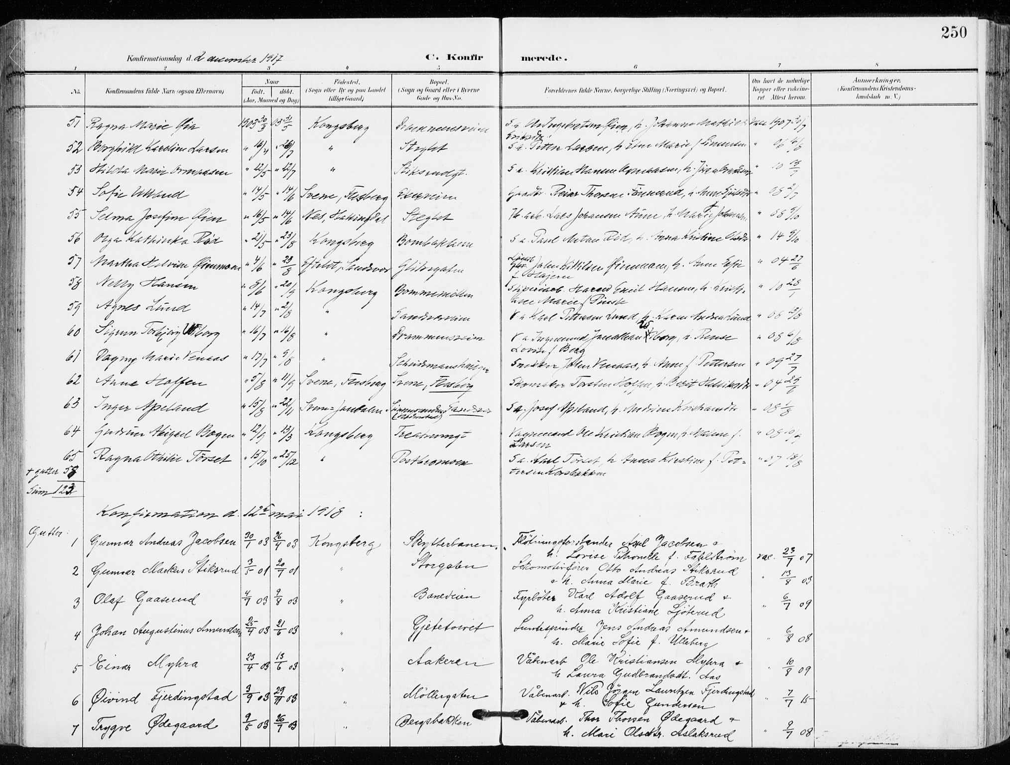 Kongsberg kirkebøker, SAKO/A-22/F/Fb/L0004: Parish register (official) no. II 4, 1906-1918, p. 250